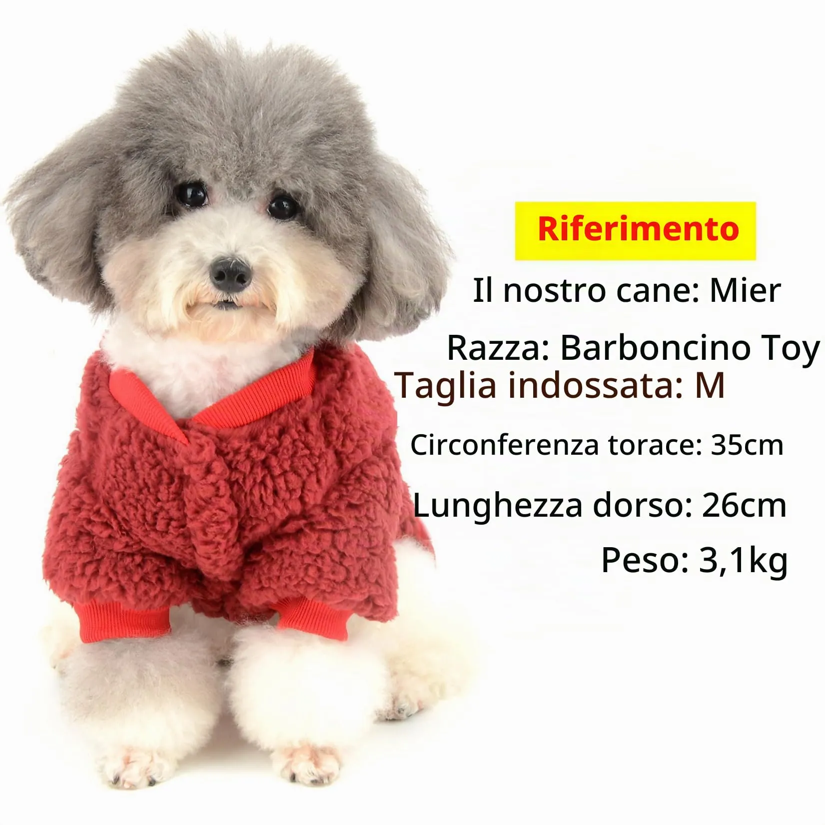 Zunea Cappotto Invernale in Pile per Cani e Gatti di Piccola Taglia, Rosso, S - immagine 6