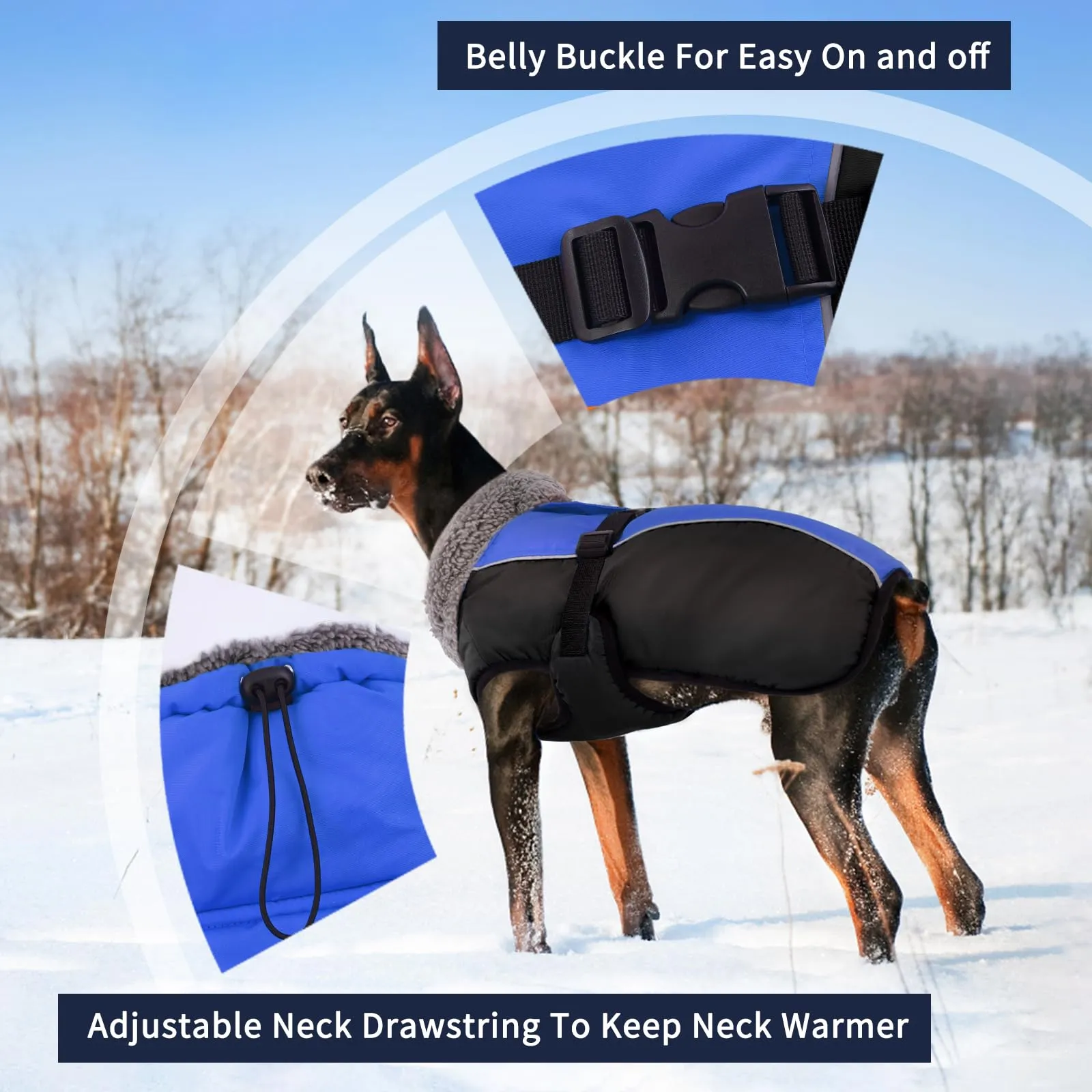 IECOii Cappotto Invernale Impermeabile e Antivento per Cani, Blu, Taglia M - immagine 3