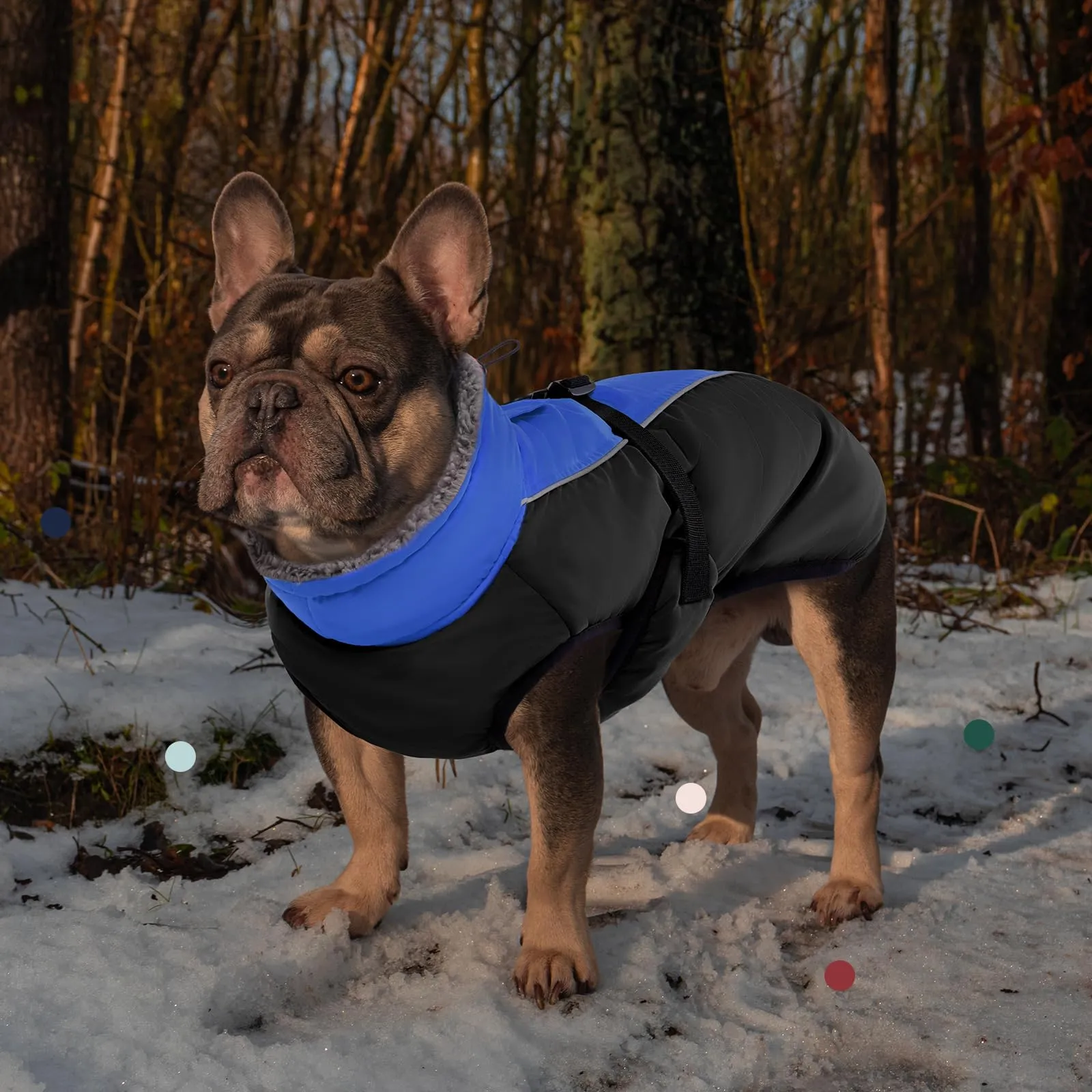 IECOii Cappotto Invernale per Cani Impermeabile e Antivento con Fodera in Pile e Strisce Riflettenti - immagine 7