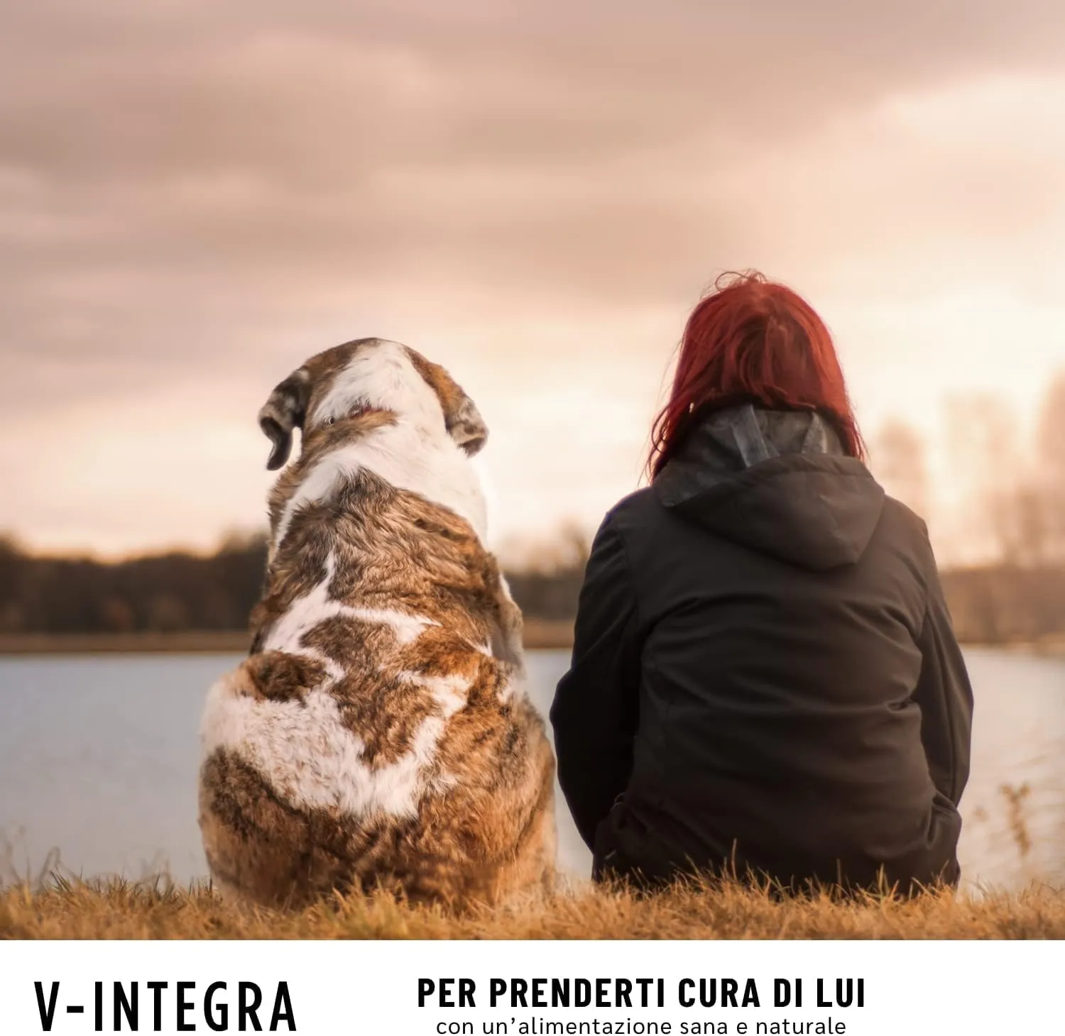 V-INTEGRA Cane Anziano, Integratore Multivitaminico per Dieta Casalinga e BARF, 200g - immagine 8