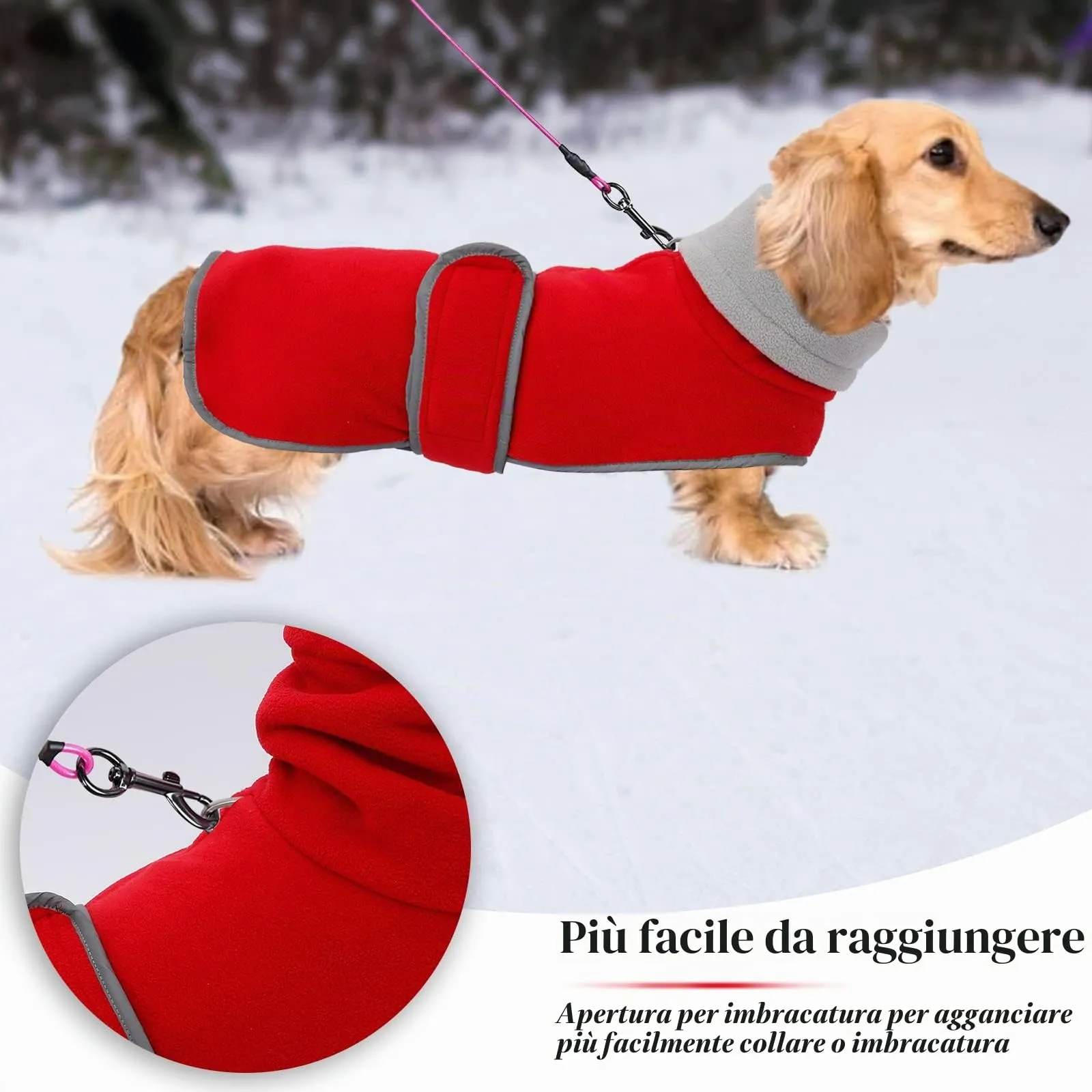 Geyecete Cappotto Invernale per Cani Bassotti con Fodera in Pile e Foro per Imbracatura, Rosso, S - immagine 4