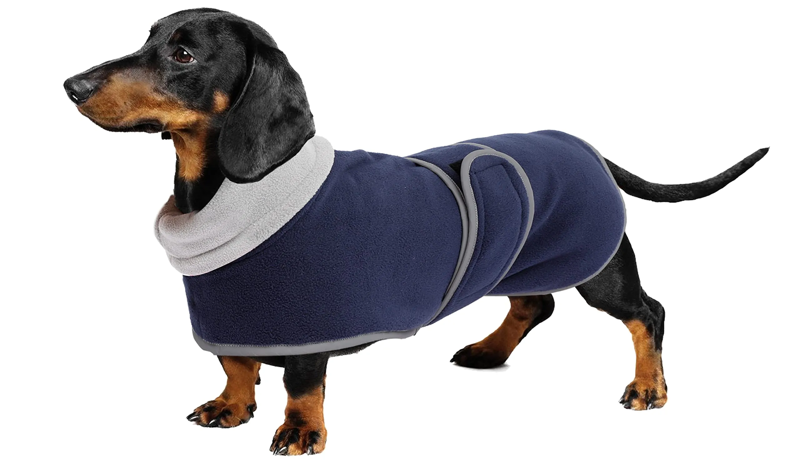 Geyecete Cappotto Invernale in Pile per Cani e Bassotti con Foro per Imbracatura, Blu Navy, XL - immagine 1