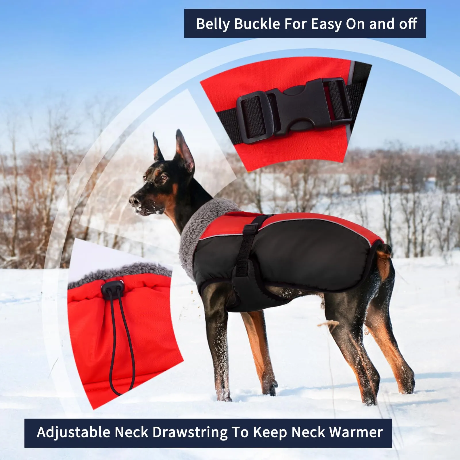 IECOii Cappotto Invernale Impermeabile e Antivento per Cani, Taglia M, Rosso - immagine 3