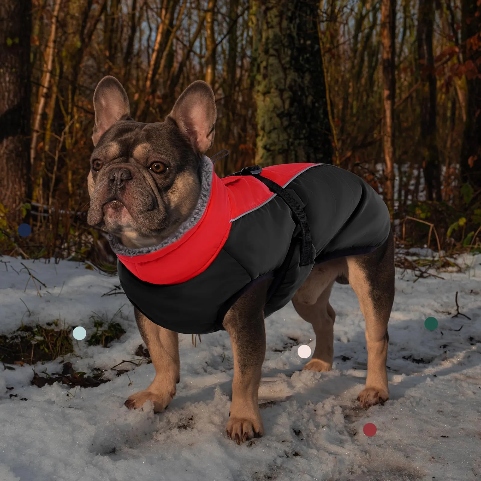 IECOii Cappotto Invernale Impermeabile e Antivento per Cani, Taglia M, Rosso - immagine 7