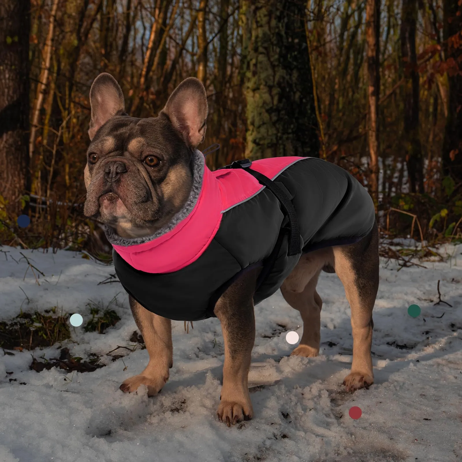 IECOii Cappotto Invernale per Cani Impermeabile e Antivento, Giacca Termica con Pile di Corallo e Strisce Riflettenti, Rosa Scuro, Taglia XXL - immagine 7