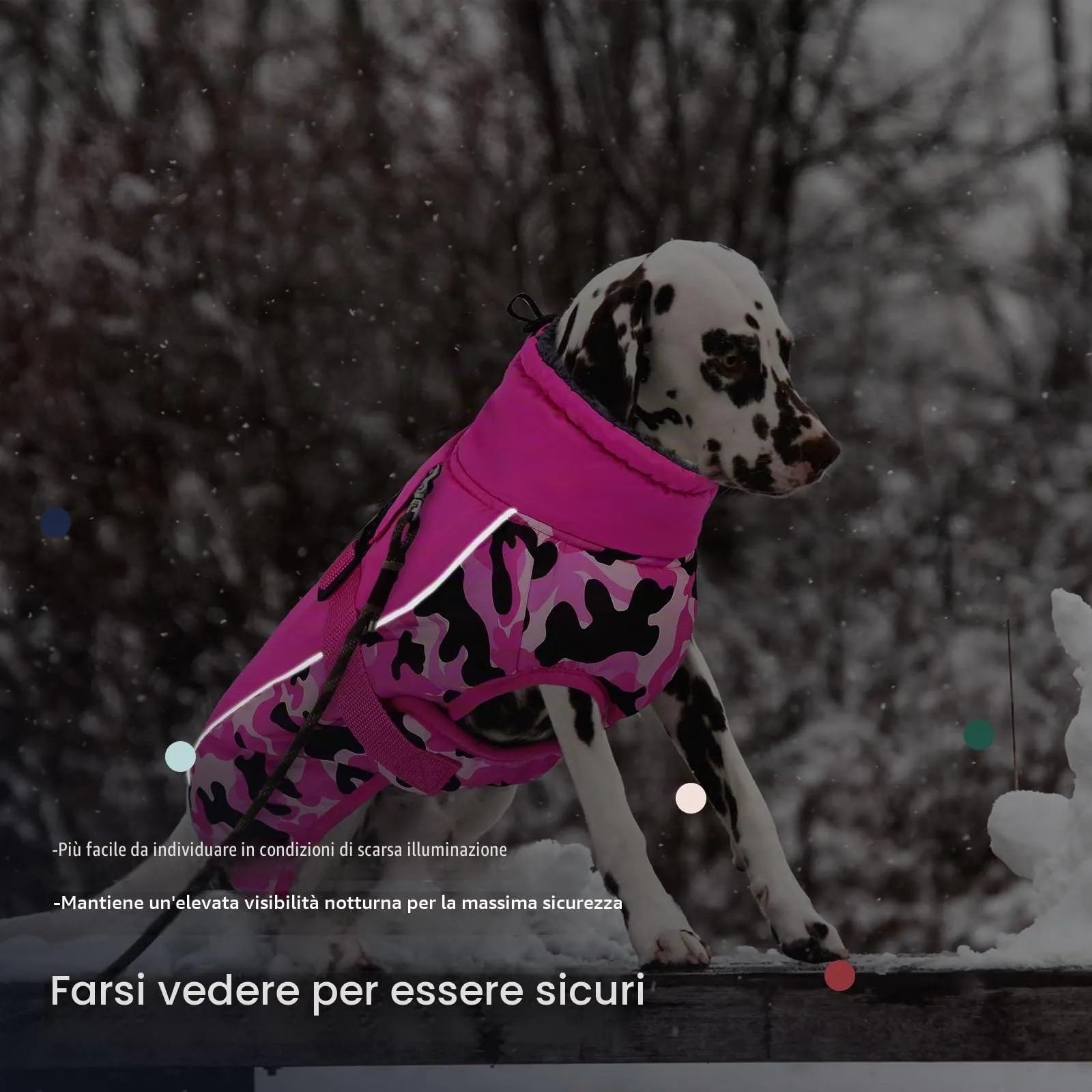 IECOii Cappotto Invernale per Cani Impermeabile e Antivento, Giacca Termica Riflettente con Foro per Guinzaglio, Taglia S - immagine 5