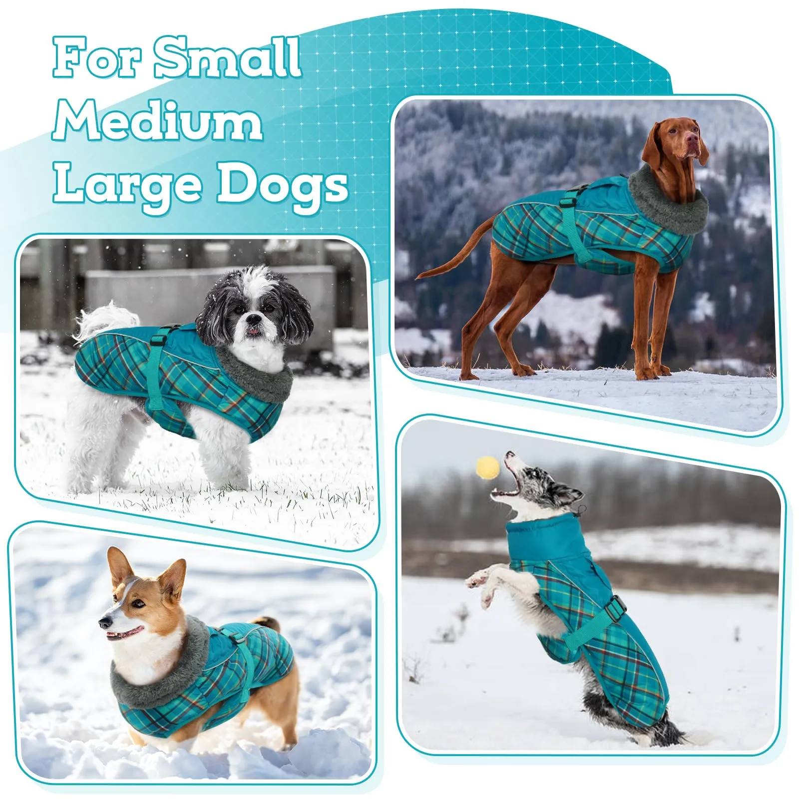 IECOii Cappotto Invernale per Cani Impermeabile e Antivento, Giacca Termica con Riflettenti e Foro per Guinzaglio, Tartan Verde, XXXL - immagine 6