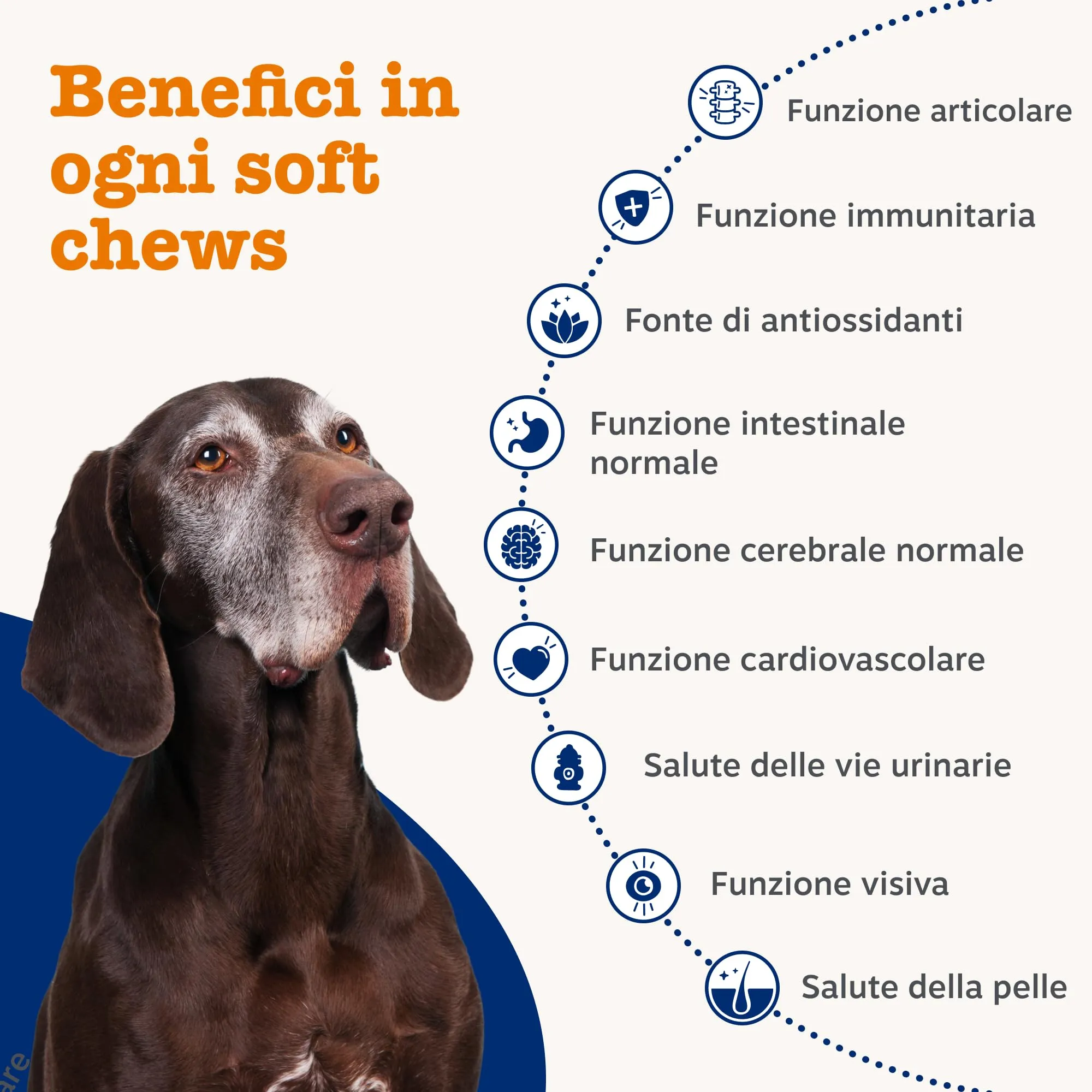 Zesty Paws Multivitamin 9-in-1 Senior, Turkey Flavor, 90 Soft Chews - immagine 3