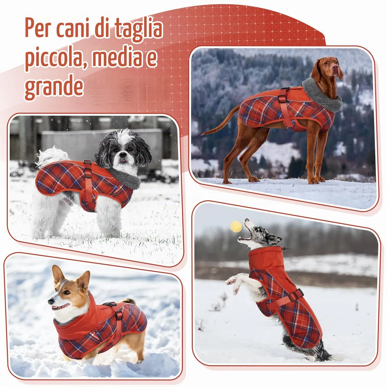 IECOii Cappotto Invernale per Cani Impermeabile e Antivento, Taglia S, Tartan Rosso - immagine 5