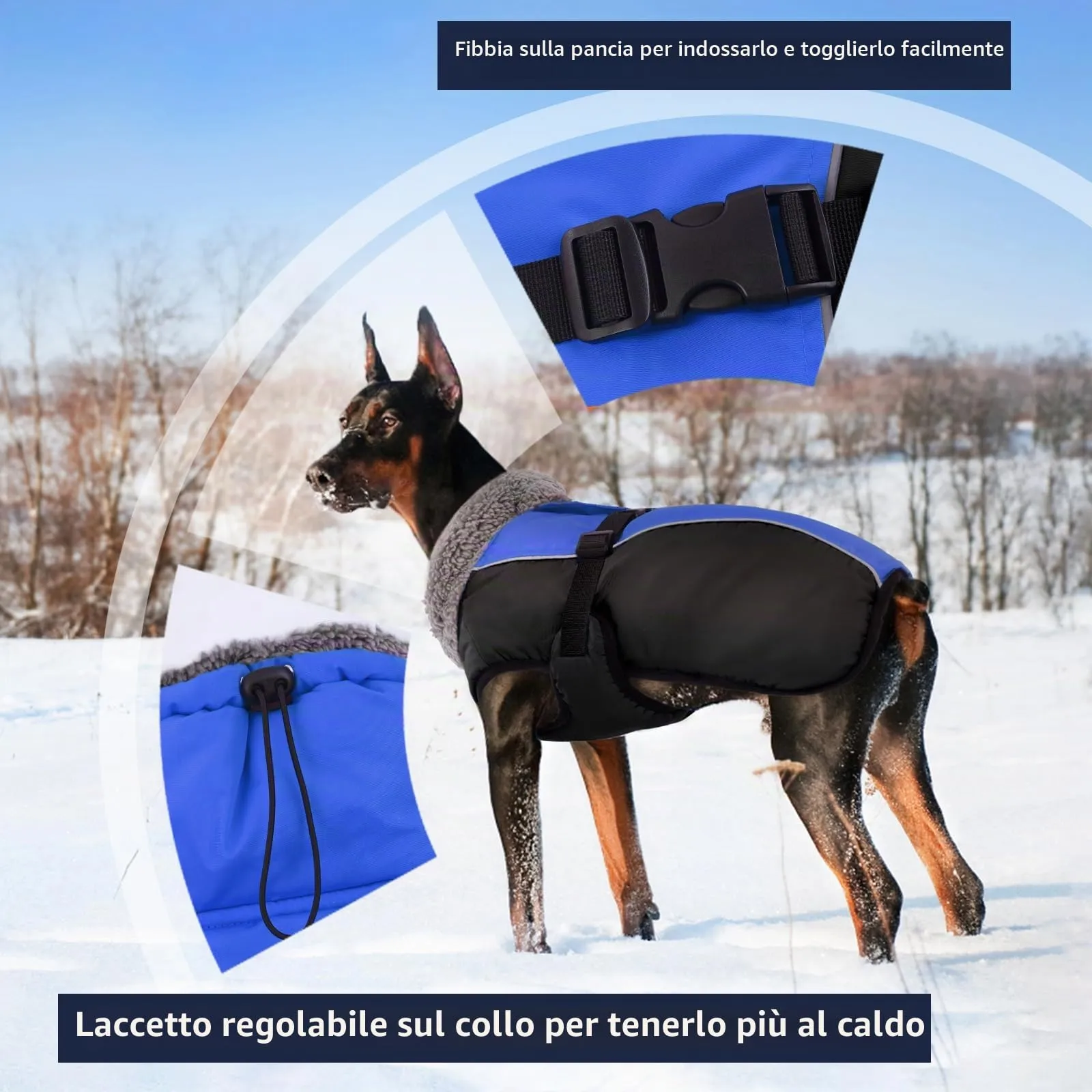 IECOii Cappotto Invernale per Cani Impermeabile e Antivento, Taglia S - immagine 3