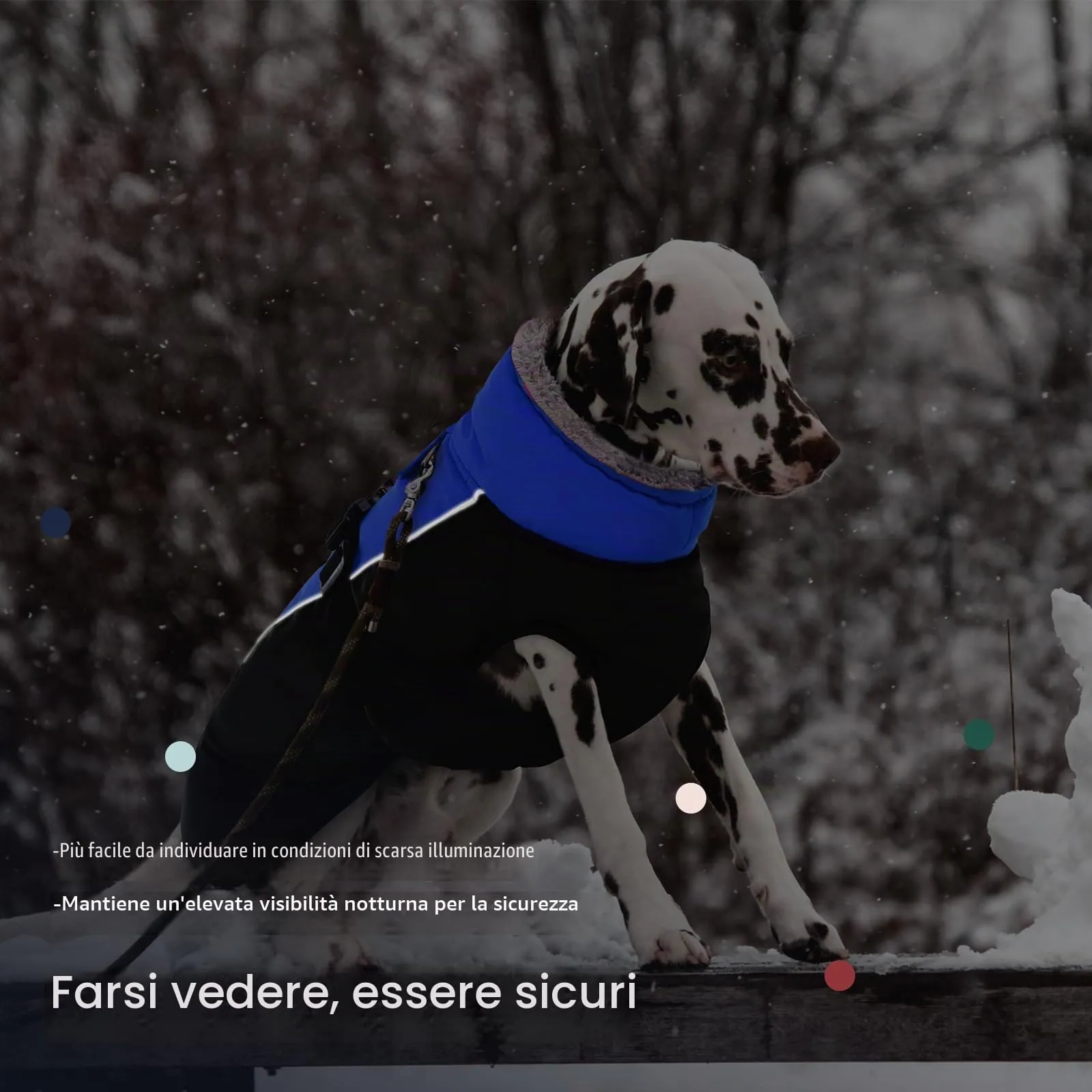 IECOii Cappotto Invernale per Cani Impermeabile e Antivento, Taglia S - immagine 5