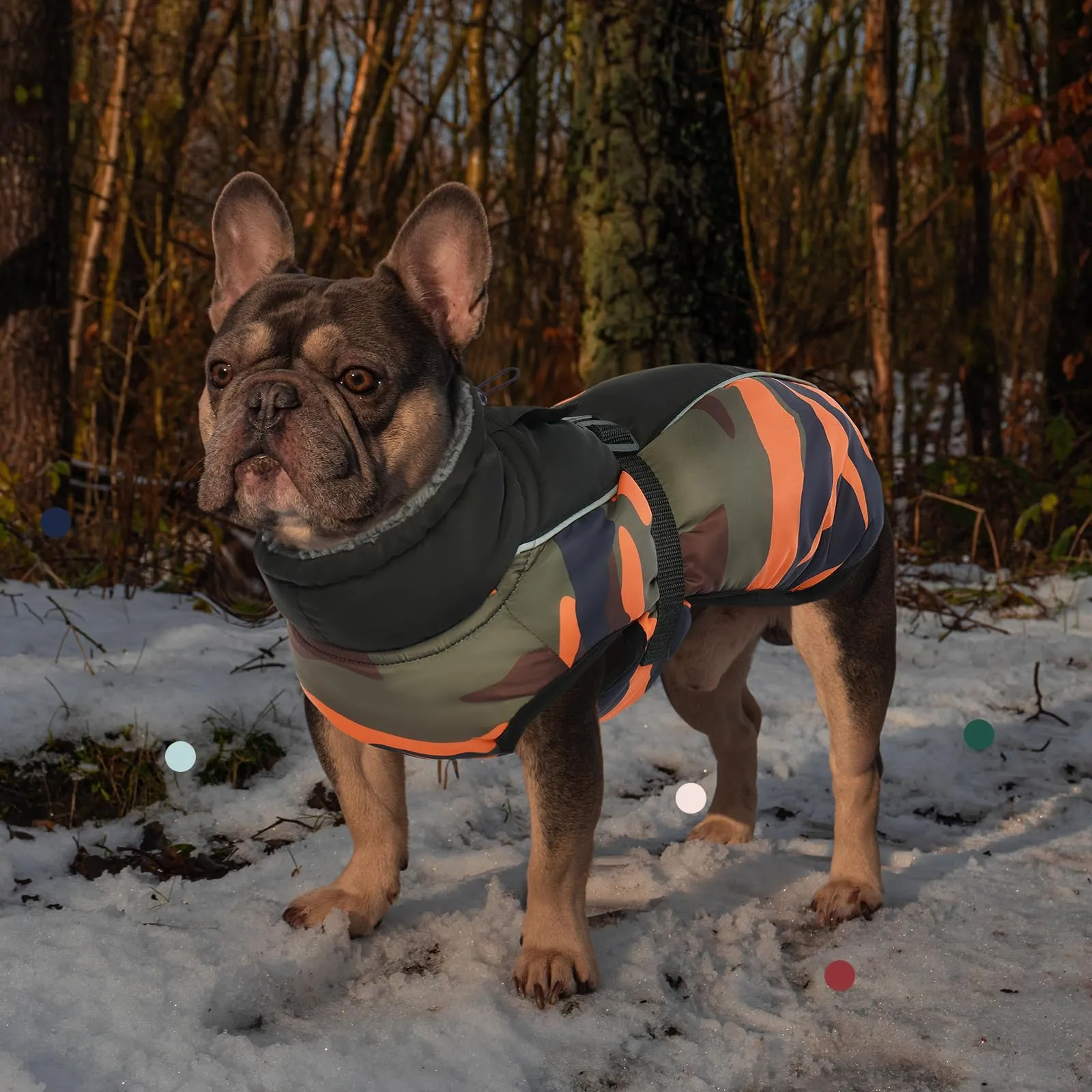 IECOii Cappotto Impermeabile e Antivento per Cani, Giacca Invernale Termica con Pile di Corallo, Taglia S - immagine 7