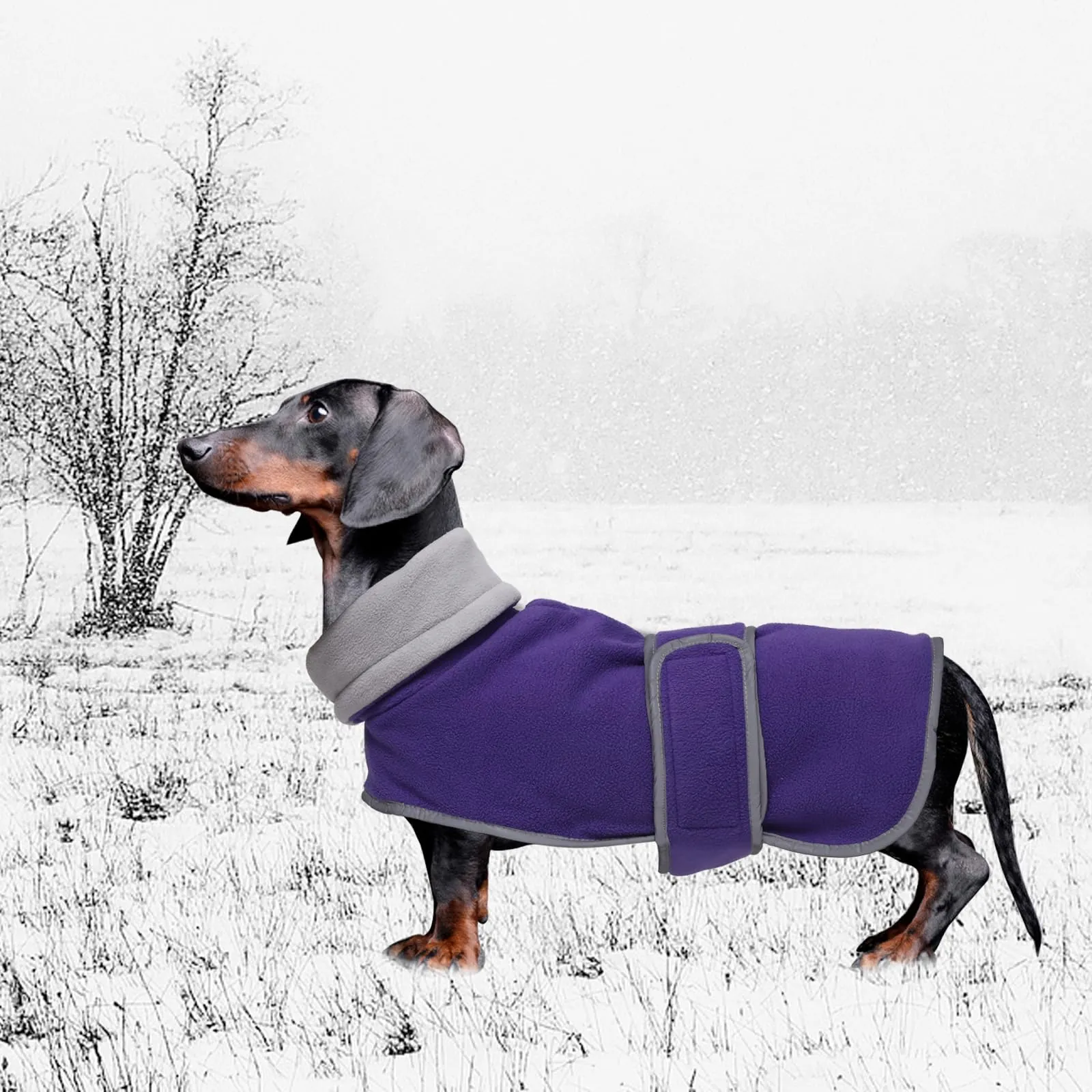 Geyecete Cappotto Invernale in Pile per Cani e Bassotti con Foro per Imbracatura, Viola, M - immagine 6