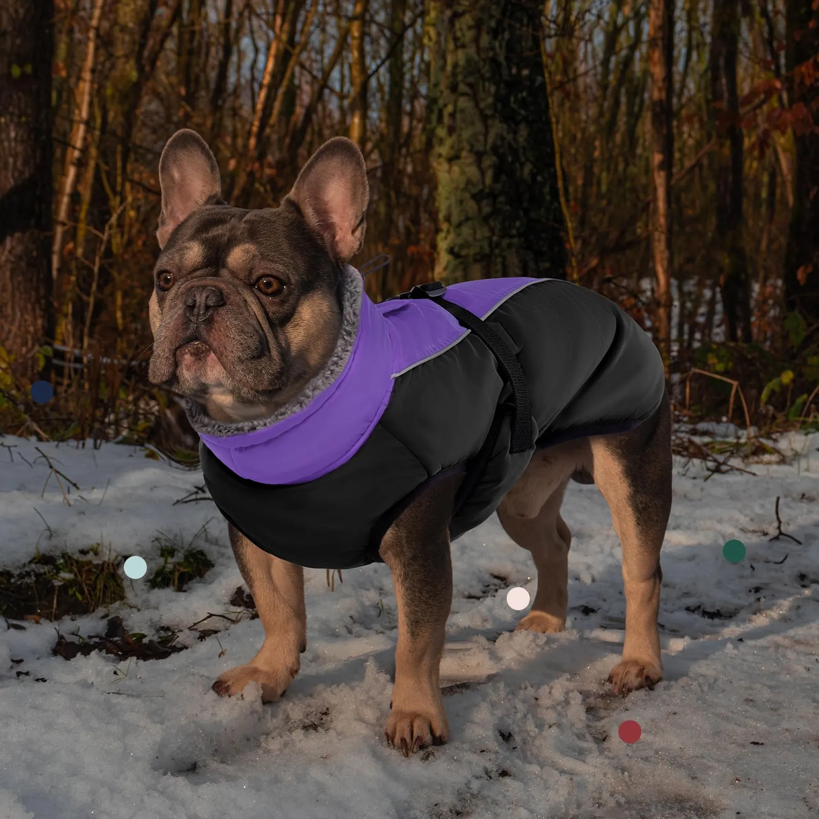 IECOii Cappotto Invernale per Cani Impermeabile e Antivento con Fodera in Pile e Strisce Riflettenti - immagine 7