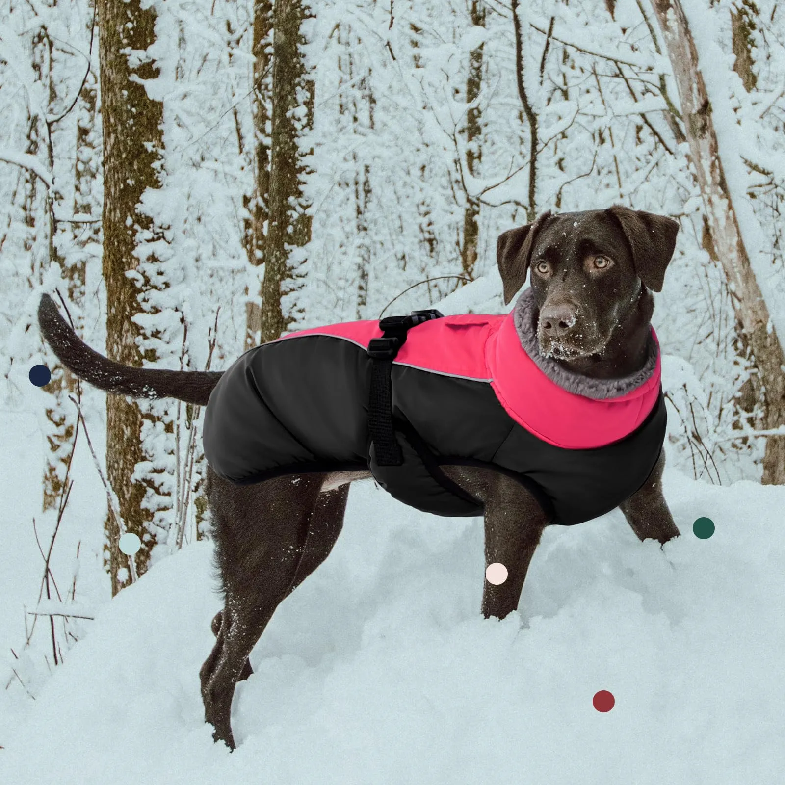 IECOii Cappotto Invernale per Cani Impermeabile e Antivento, Giubbotto Termico con Pile di Corallo e Strisce Riflettenti, Rosa Scuro, XL - immagine 6