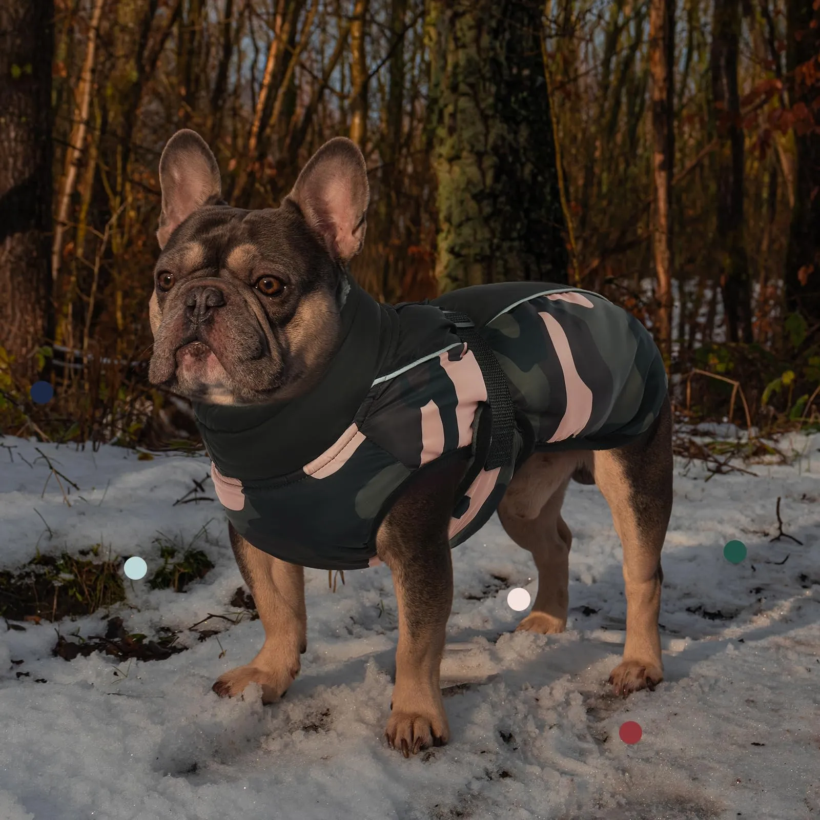 IECOii Cappotto Invernale per Cani Impermeabile e Antivento, Giacca Termica Riflettente con Foro per Guinzaglio, Taglia XXXL, Camuffamento Verde - immagine 7
