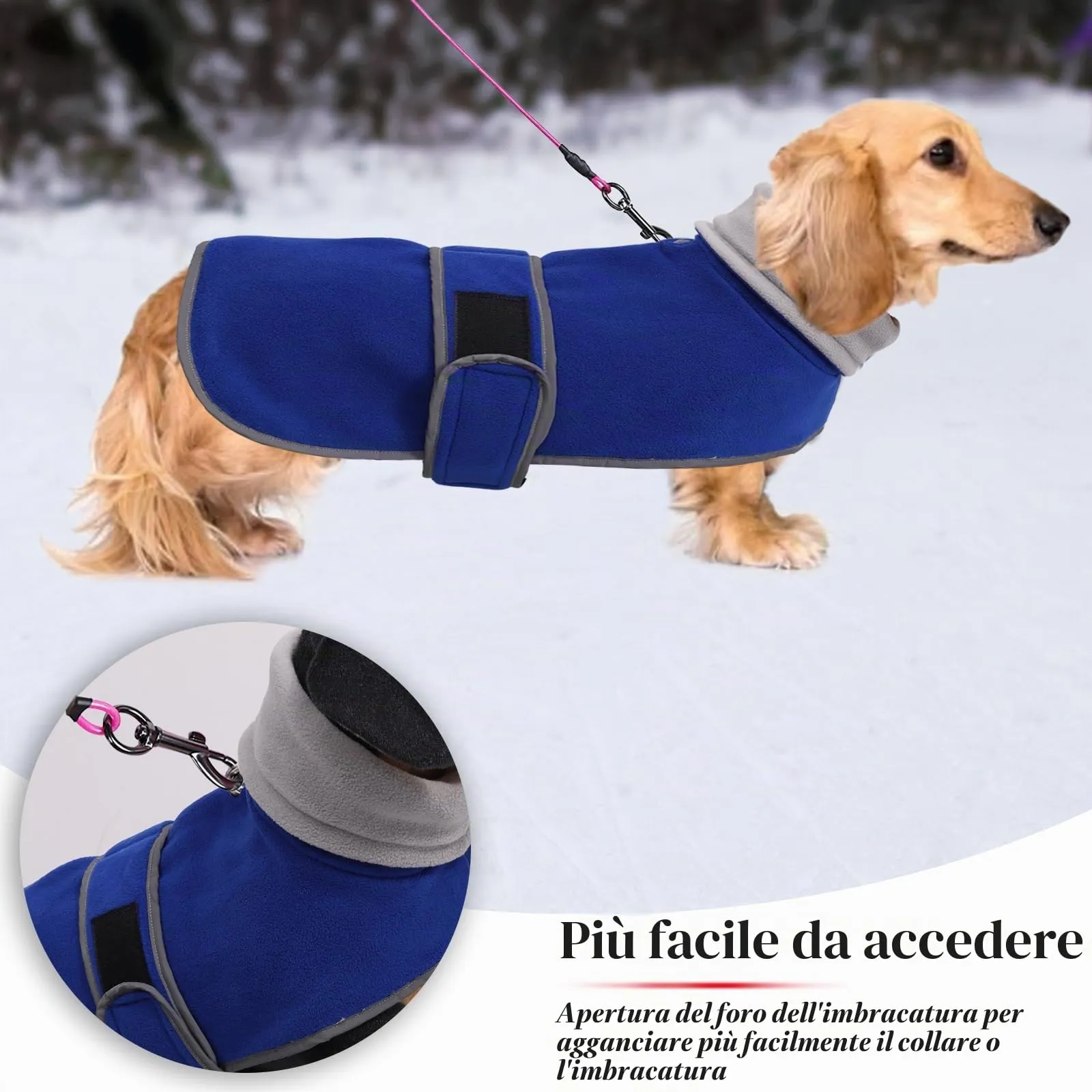 Geyecete Cappotto Invernale per Cani Bassotti, Fodera in Pile, Foro per Imbracatura, Blu, L - immagine 4