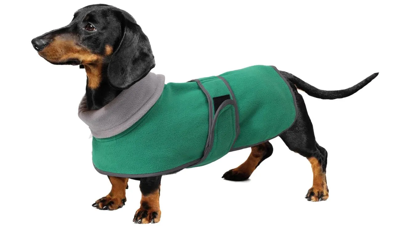 Geyecete Cappotto Invernale in Pile per Cani Bassotti, con Foro per Imbracatura, Verde, S - immagine 1