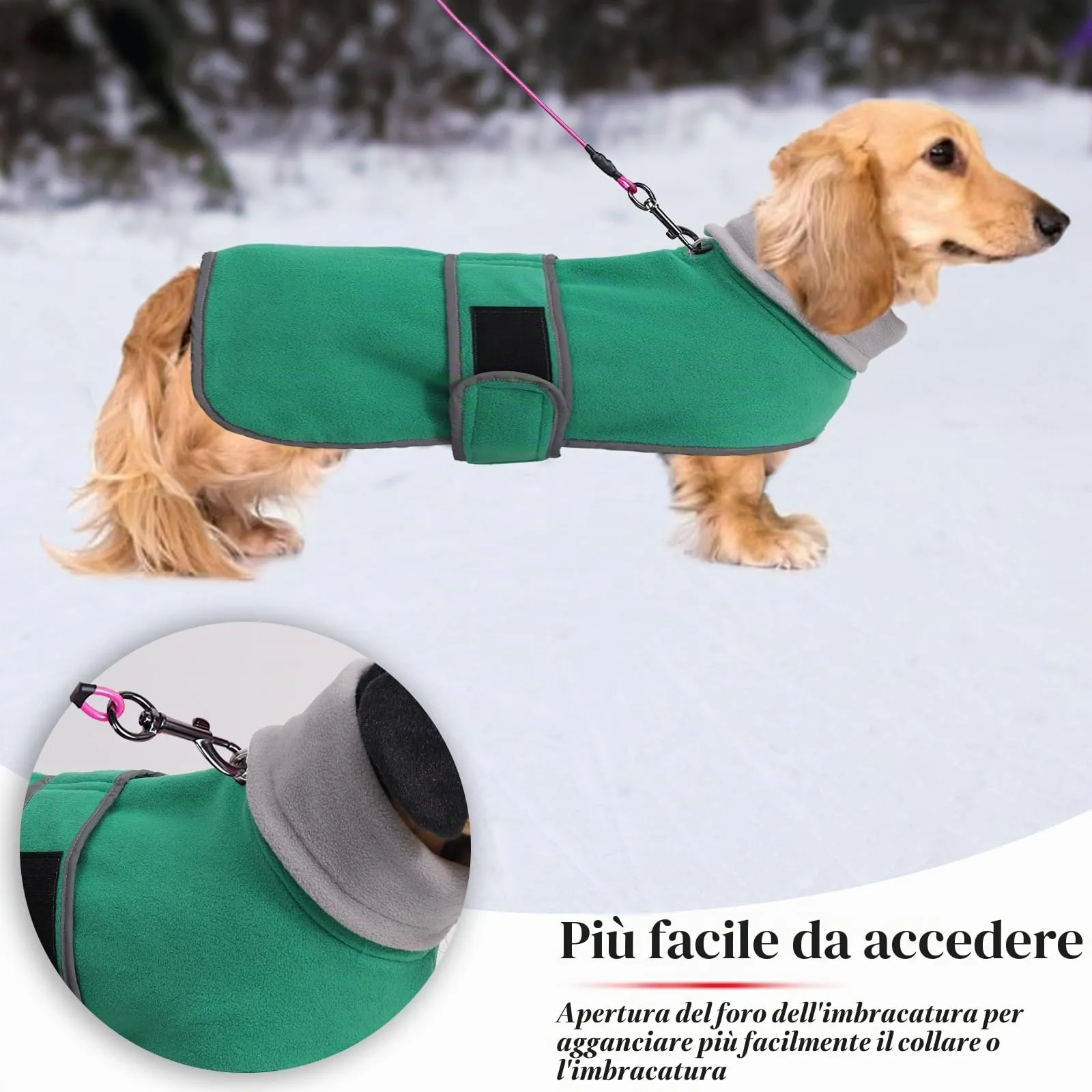 Geyecete Cappotto Invernale in Pile per Cani Bassotti, con Foro per Imbracatura, Verde, S - immagine 4