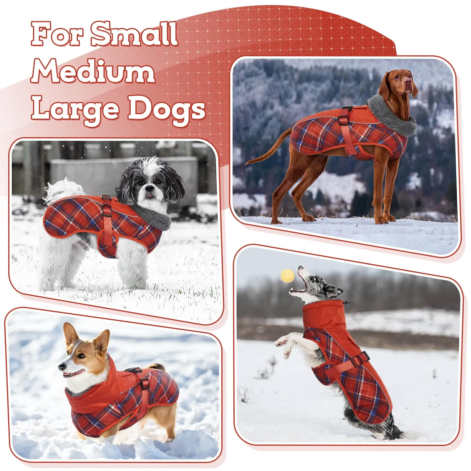 IECOii Cappotto Invernale per Cani Impermeabile e Antivento, Taglia M, Tartan Rosso - immagine 5