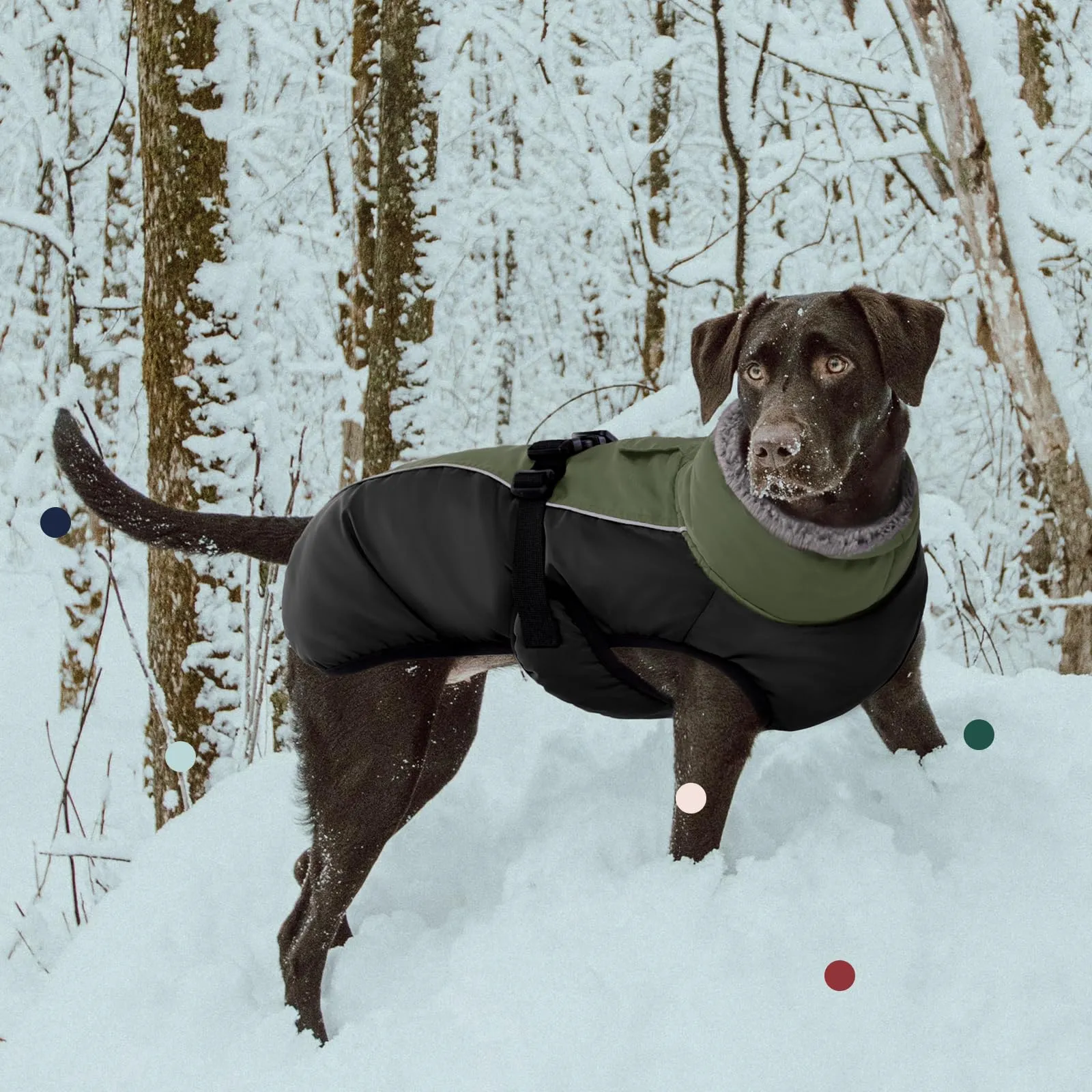 IECOii Cappotto invernale per cani impermeabile e antivento, Giacca termica riflettente per cani piccola e media taglia - immagine 6