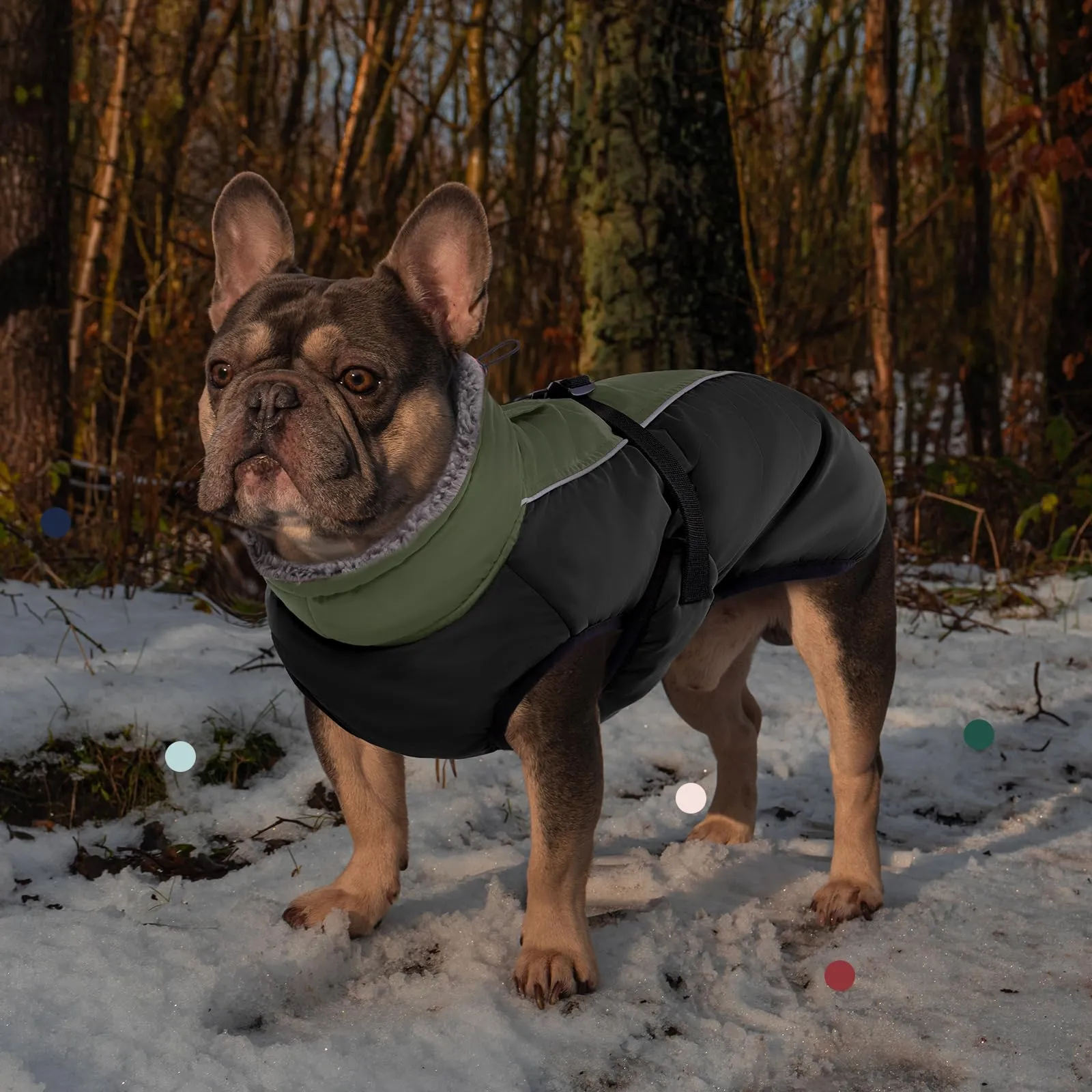 IECOii Cappotto invernale per cani impermeabile e antivento, Giacca termica riflettente per cani piccola e media taglia - immagine 7