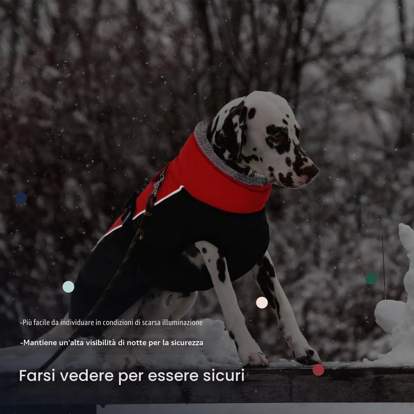 IECOii Cappotto Invernale per Cani Impermeabile e Antivento, Giacca Termica con Riflettente e Foro per Guinzaglio, Taglia S - immagine 5