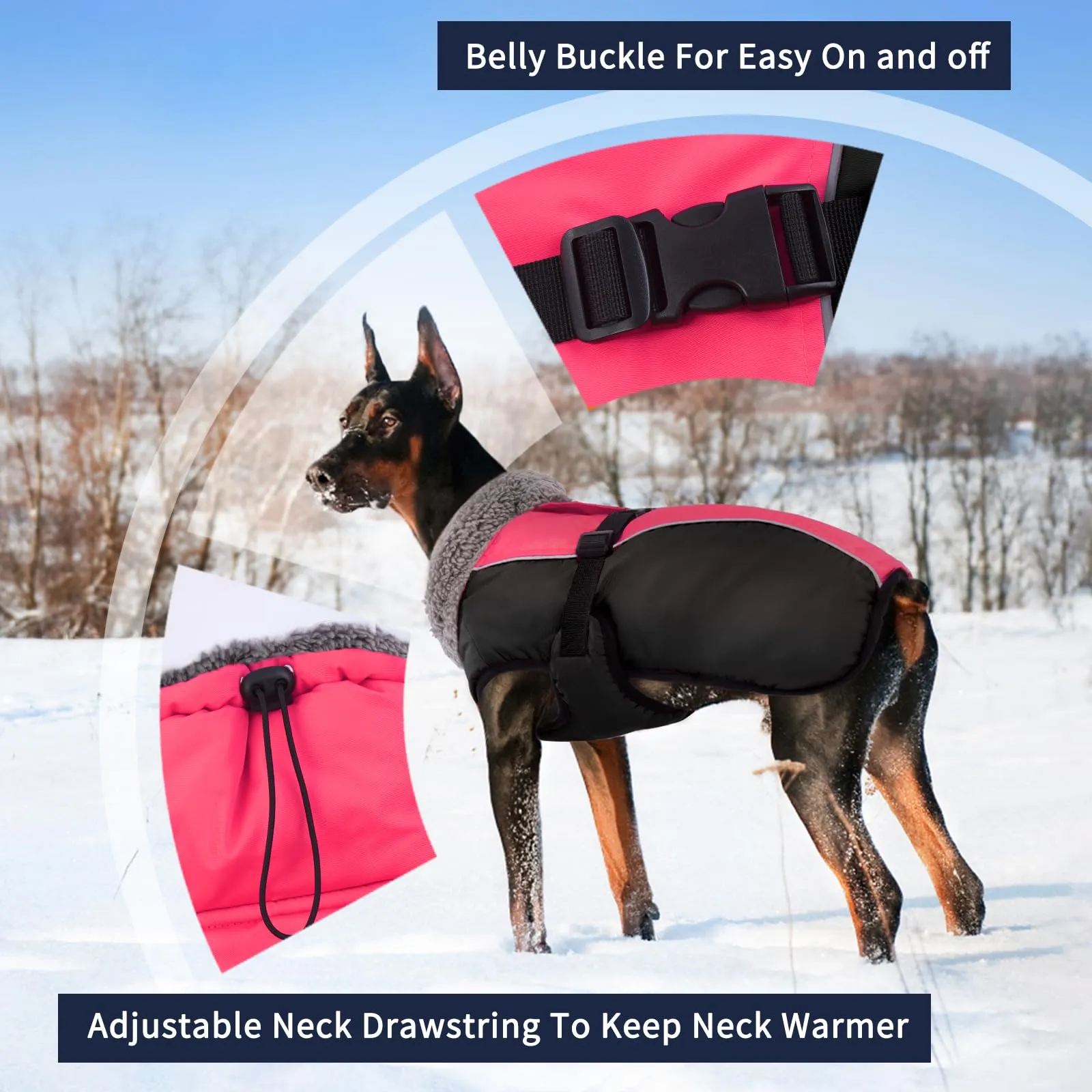 IECOii Cappotto Invernale per Cani Impermeabile e Antivento con Pile di Corallo e Strisce Riflettenti - immagine 3