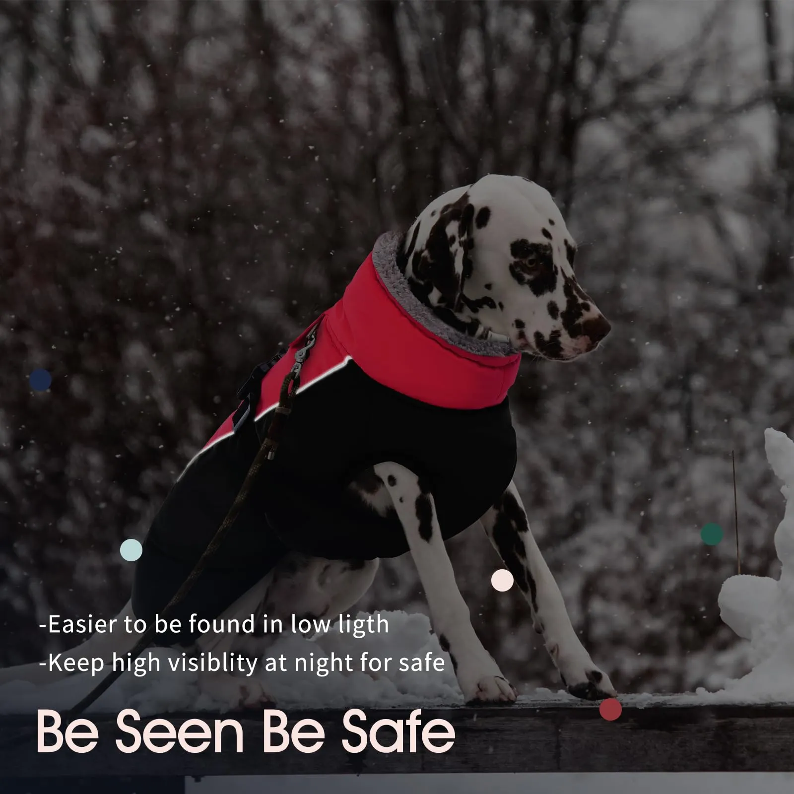 IECOii Cappotto Invernale per Cani Impermeabile e Antivento con Pile di Corallo e Strisce Riflettenti - immagine 5