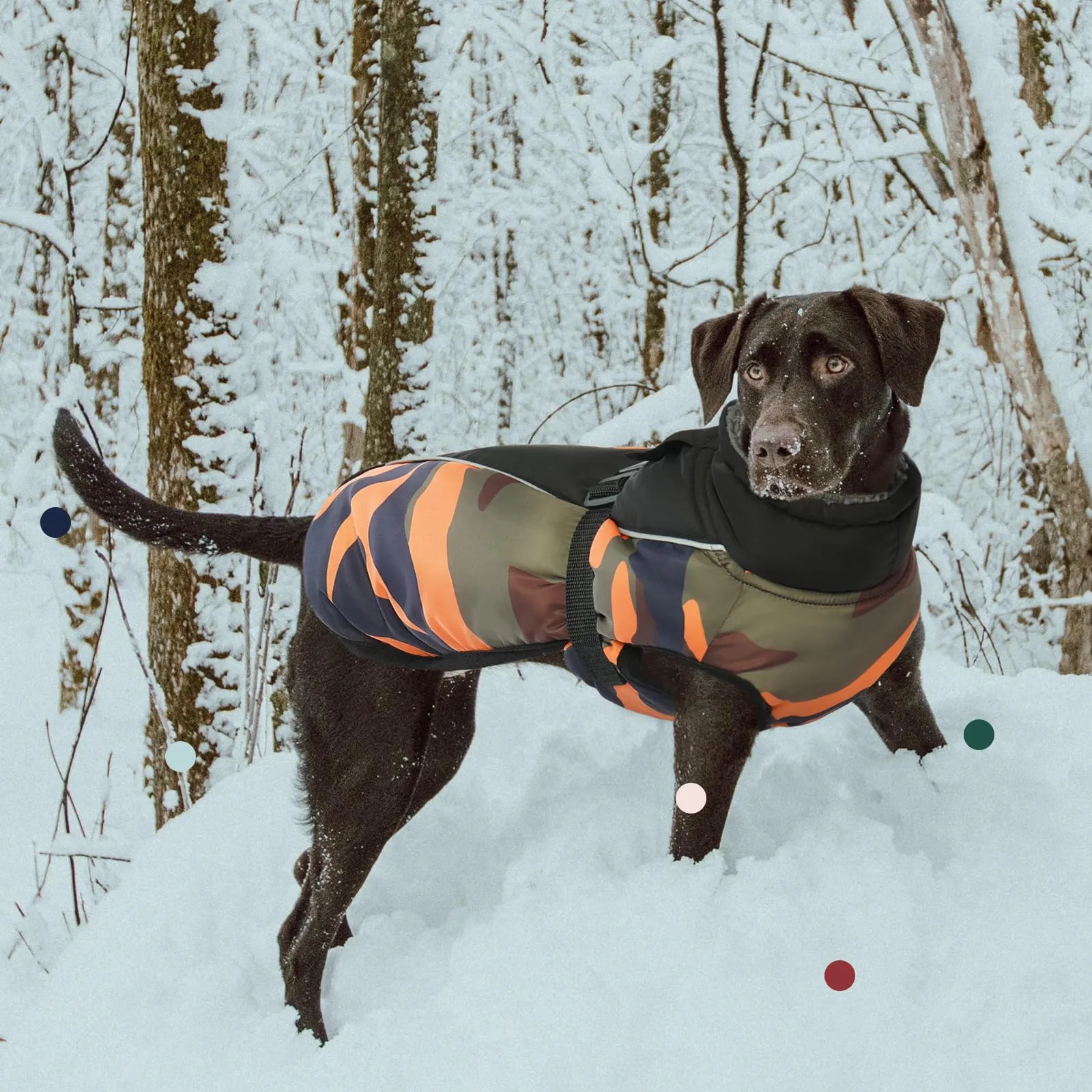 IECOii Cappotto Invernale per Cani Impermeabile e Antivento, Giacca Termica Riflettente con Foro per Guinzaglio, Taglia XXL, Camuffamento Arancione - immagine 6