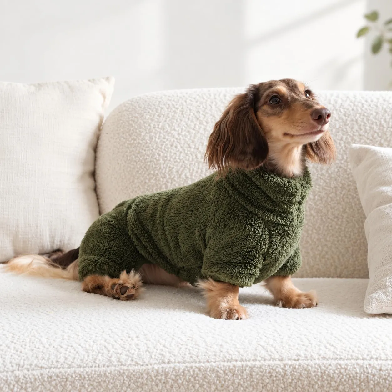ESCCBOO Tuta in pile dolcevita per cani bassotto, verde scuro, S - immagine 2