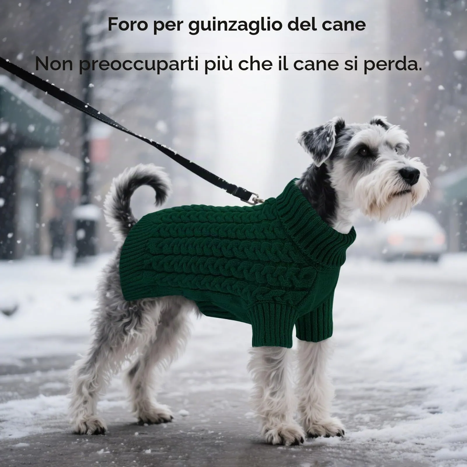 ASENKU Maglione per Cane, Taglia XS, Verde - immagine 6