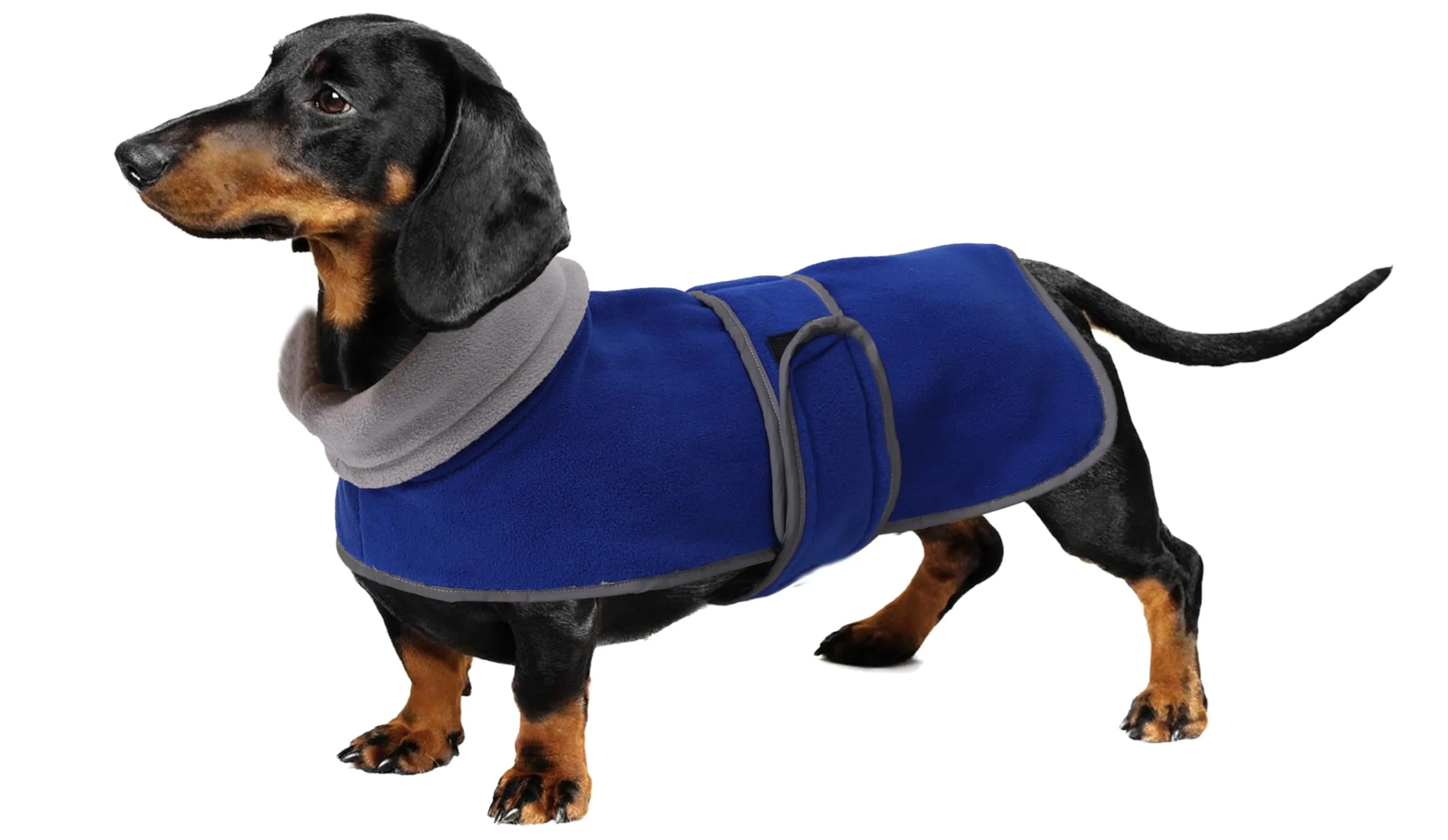 Geyecete Cappotto Invernale per Cani Bassotti con Fodera in Pile e Foro per Imbracatura, Blu, XS - immagine 1