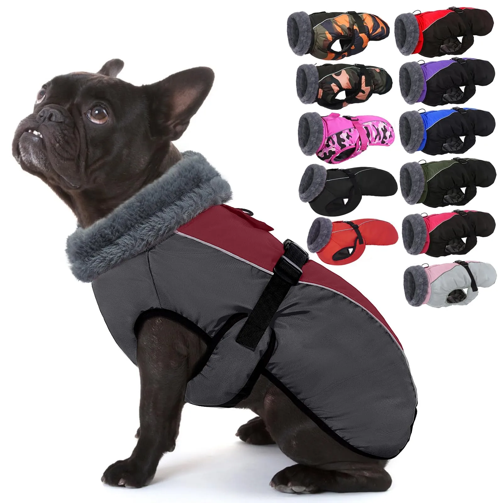 IECOii Cappotto Invernale per Cani di Piccola Taglia, Impermeabile e Riflettente, Pile, Bordeaux, S - immagine 1