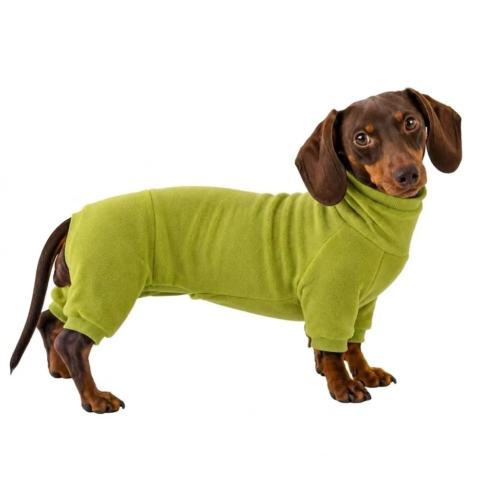 ESCCBOO Maglione a collo alto per bassotti, verde, XL - immagine 1