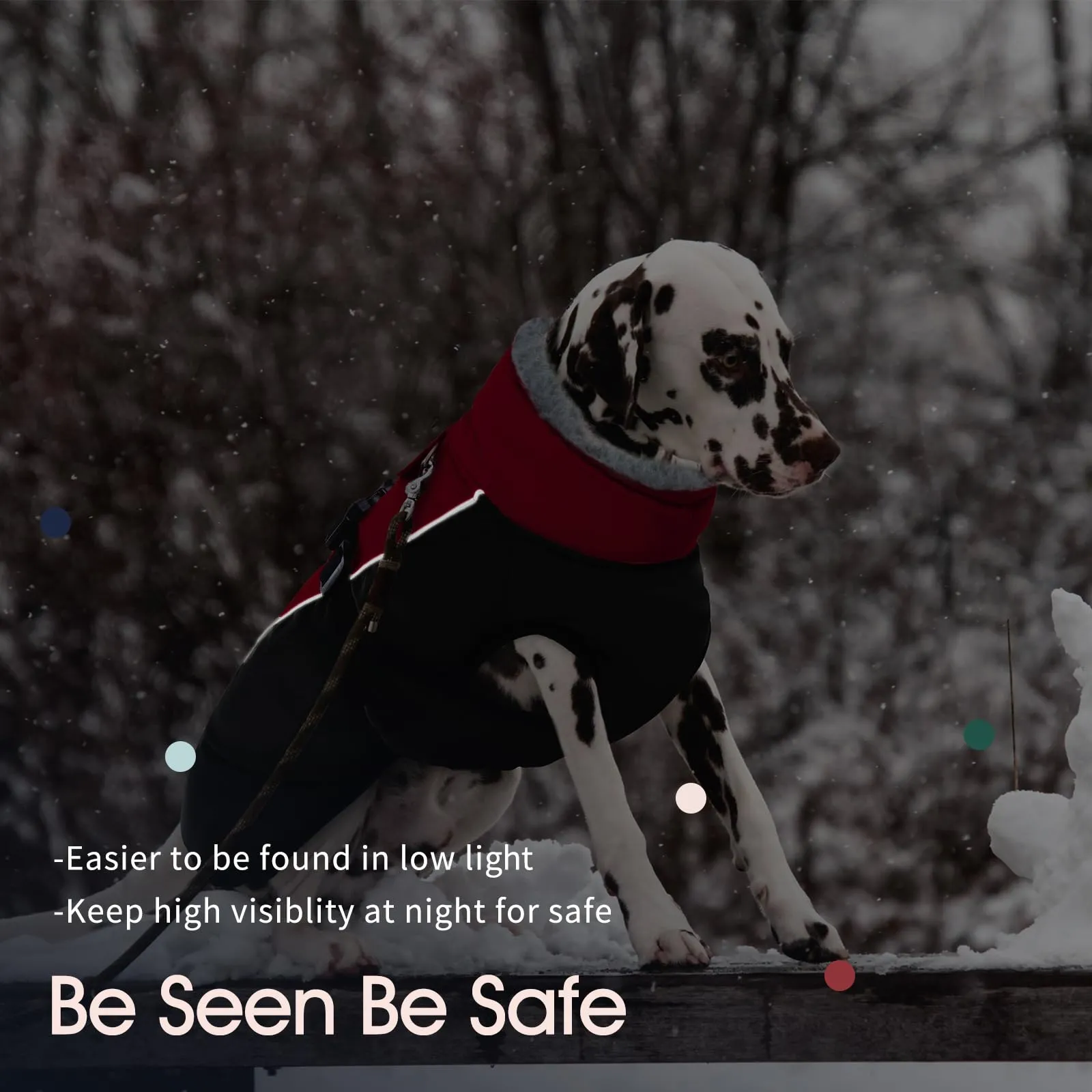 IECOii Cappotto Invernale Impermeabile per Cani, Taglia Media - immagine 5