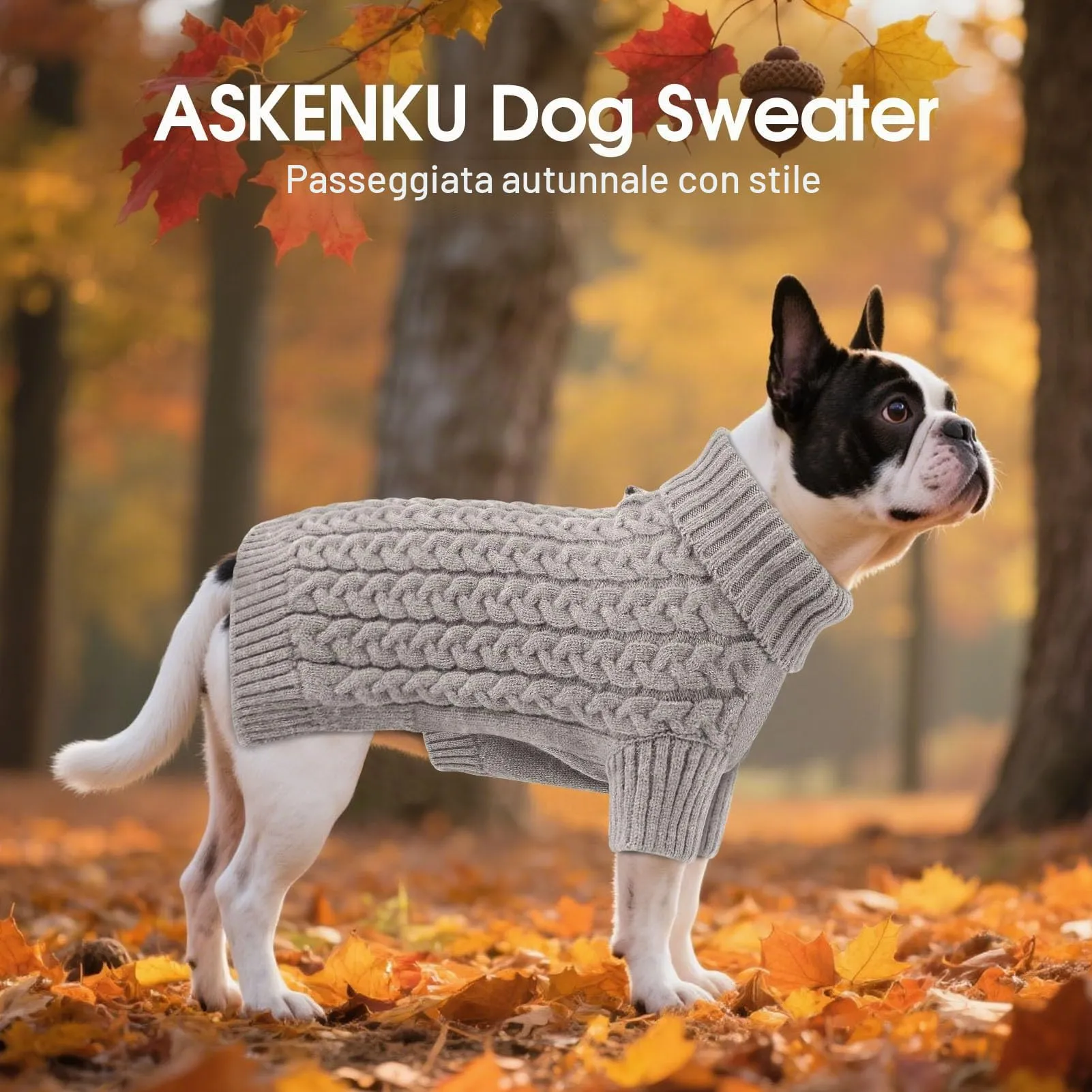 ASENKU Maglione per Cane XS, Tinta Unita, Grigio - immagine 4