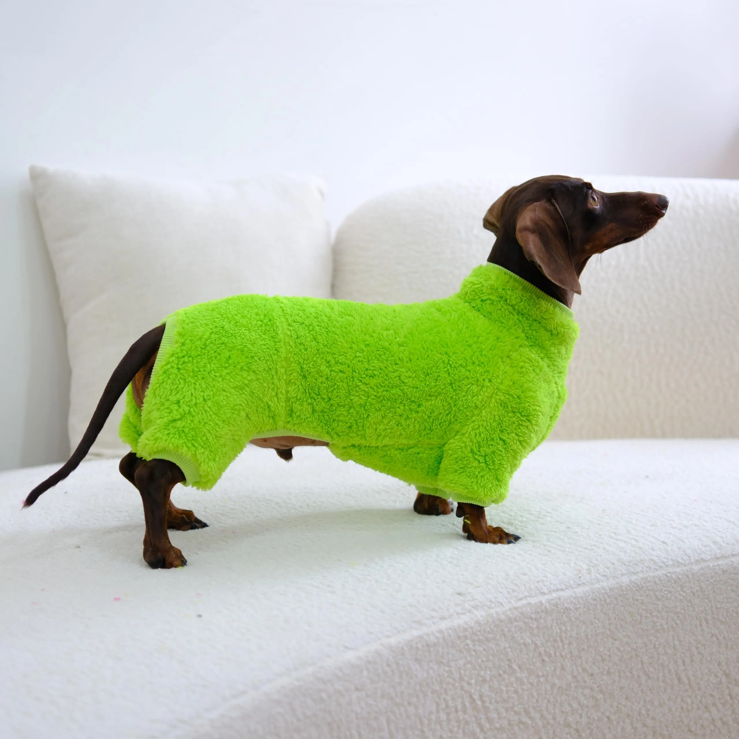 ESCCBOO Tuta in pile dolcevita per cani bassotto, verde brillante, S - immagine 4
