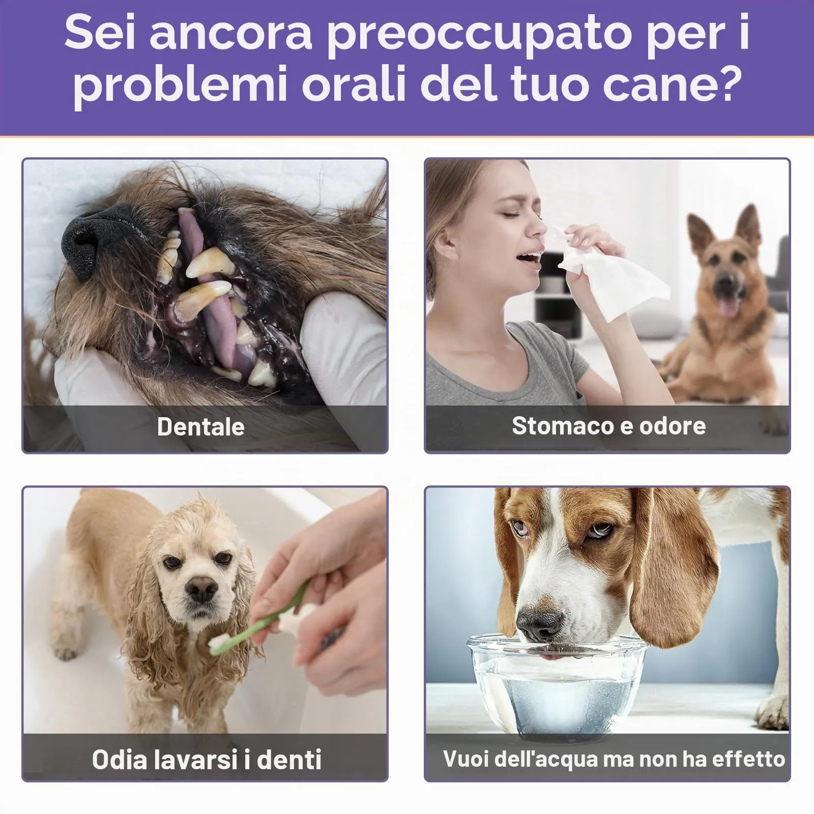 CLFJLXYX Pulizia Denti Powder per Cani e Gatti, Rimozione Tartaro e Placca, 100 g - immagine 3