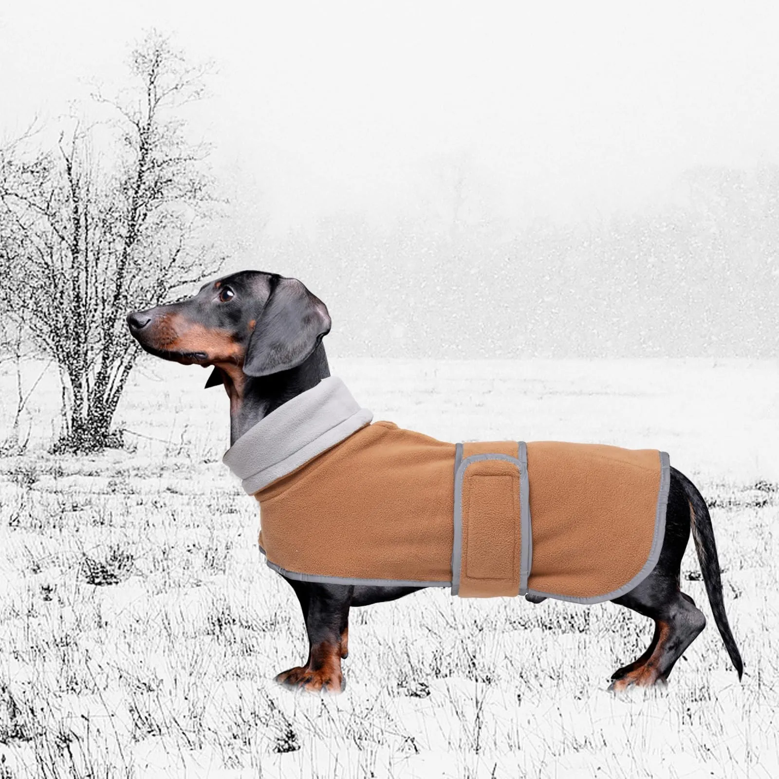 Geyecete Cappotto Invernale per Cani Bassotti con Fodera in Pile e Foro per Imbracatura, Marrone, S - immagine 6