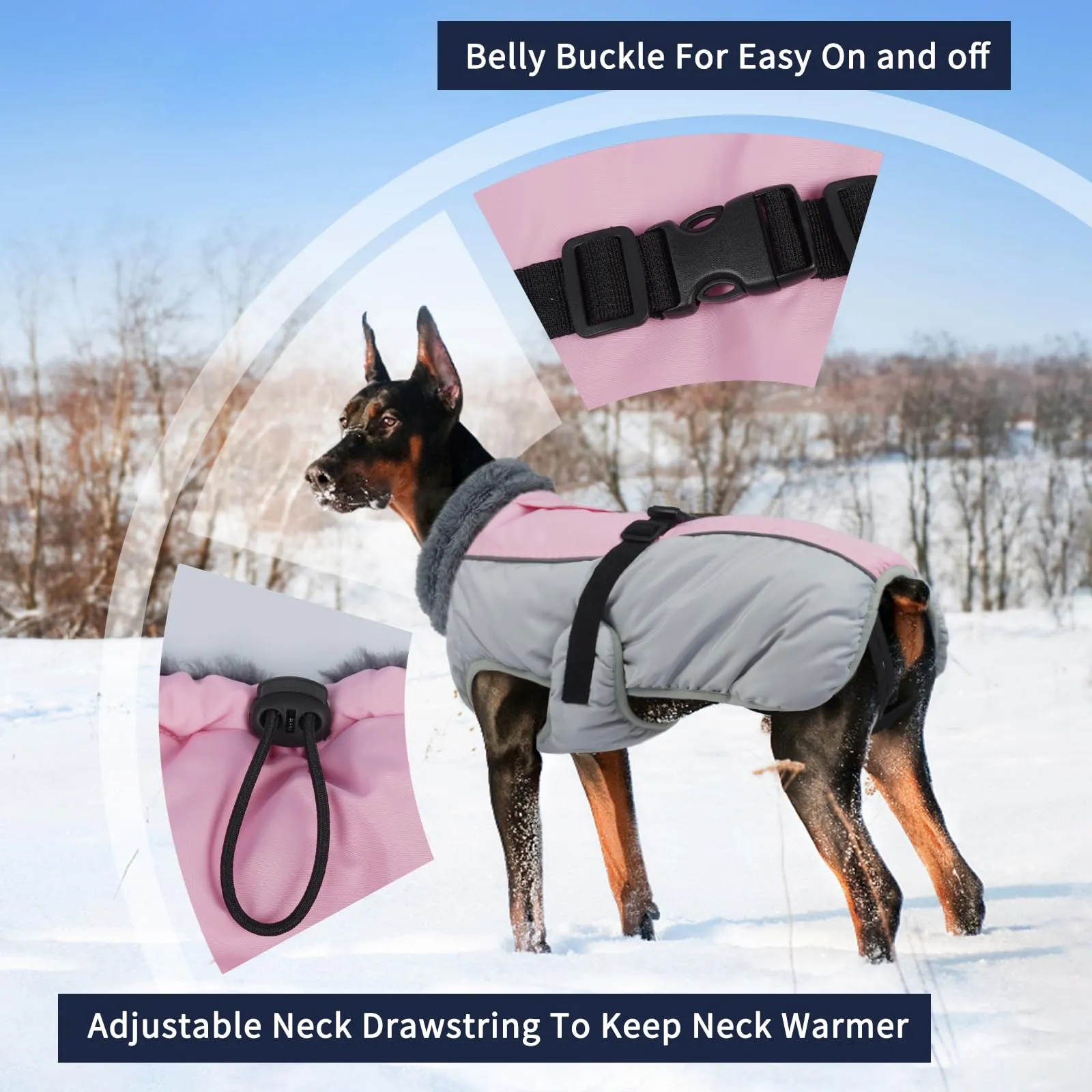 IECOii Cappotto invernale per cani, foderato in pile, impermeabile e antivento, taglia Grande - immagine 4
