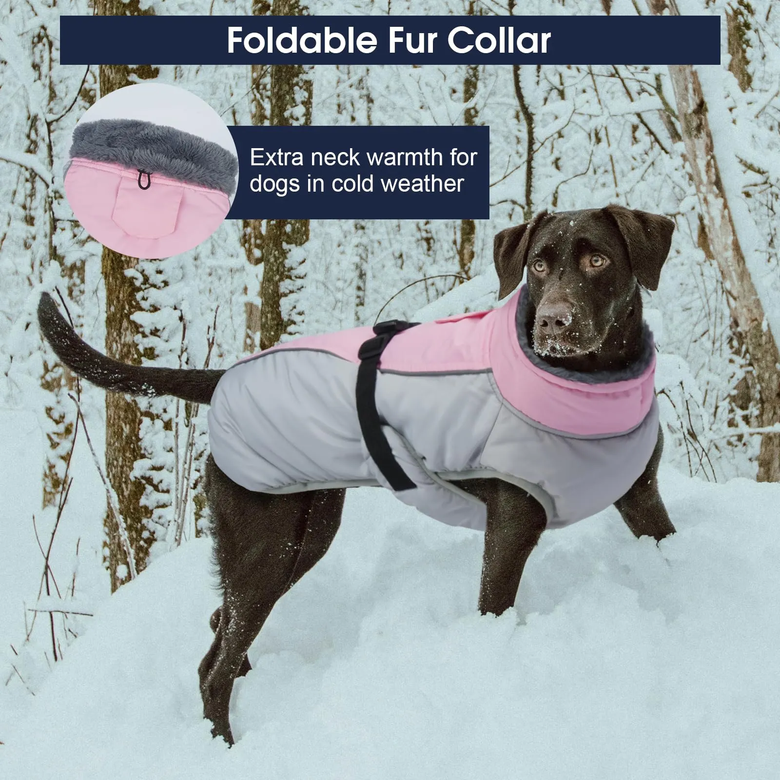 IECOii Cappotto invernale per cani, foderato in pile, impermeabile e antivento, taglia Grande - immagine 6