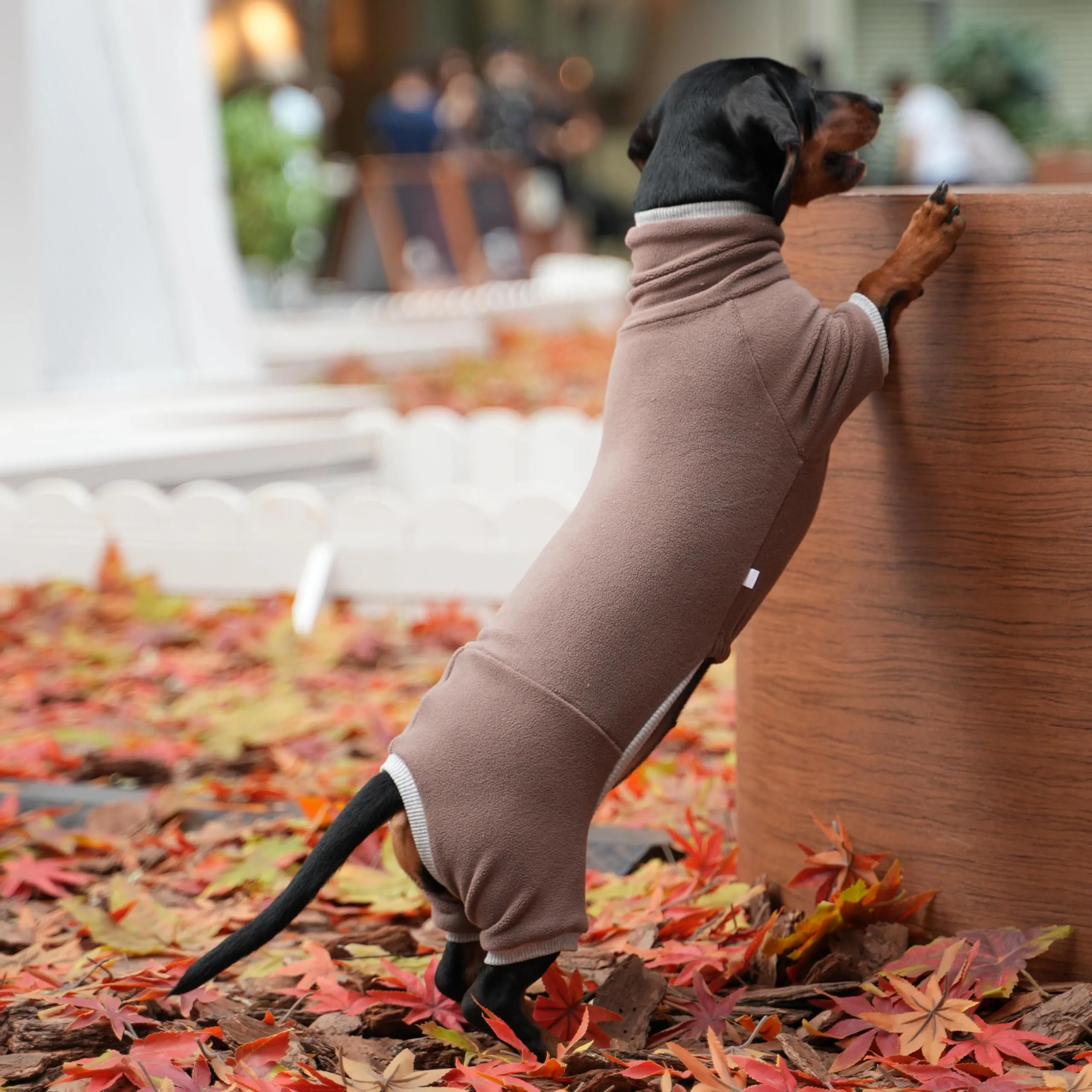 ESCCBOO Maglione a collo alto per bassotti, marrone, M - immagine 6