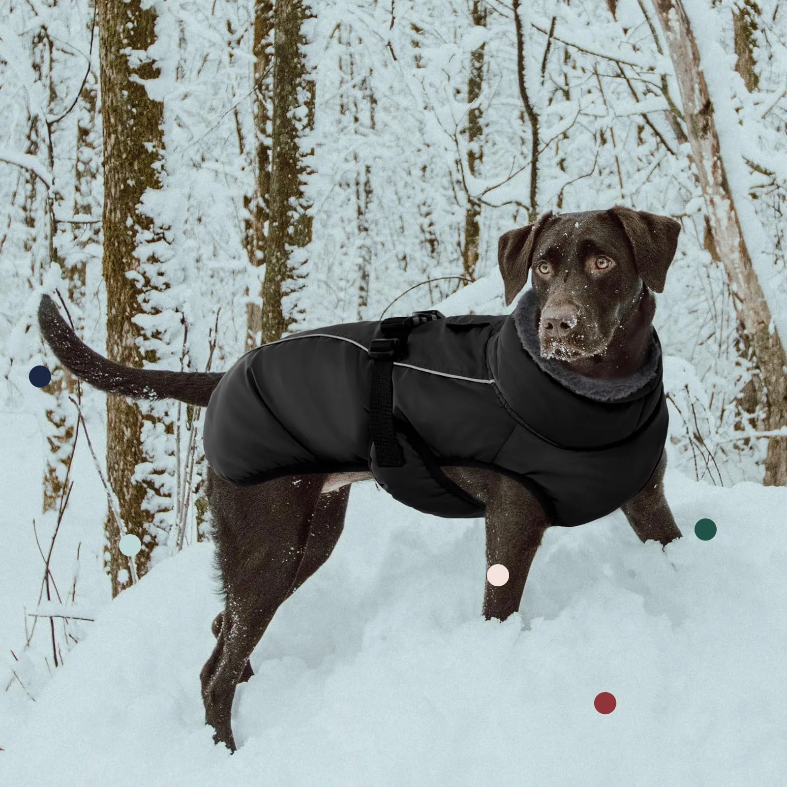 IECOii Cappotto Invernale per Cane Riflettente in Pile con Collo a Tartaruga, Nero, Taglia S - immagine 6