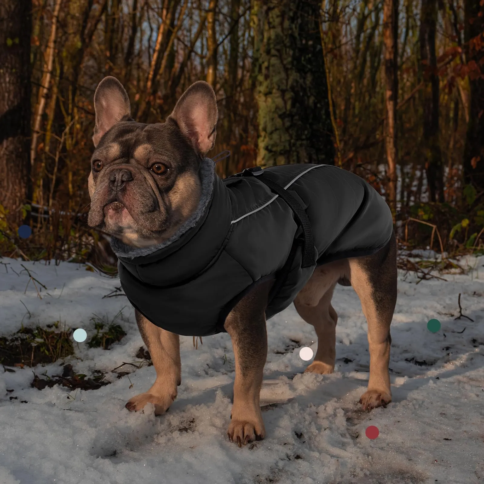 IECOii Giacca per cani invernale impermeabile e riflettente con collo alto in pile - immagine 7