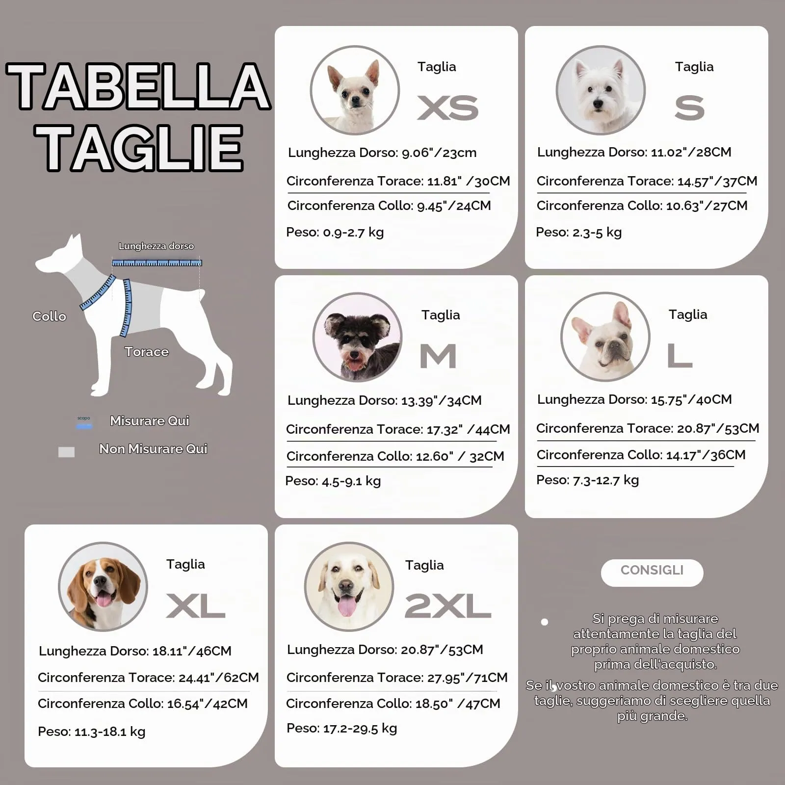 ASENKU Maglioncino per Cane, Taglia S, Tinta Unita, Grigio - immagine 5