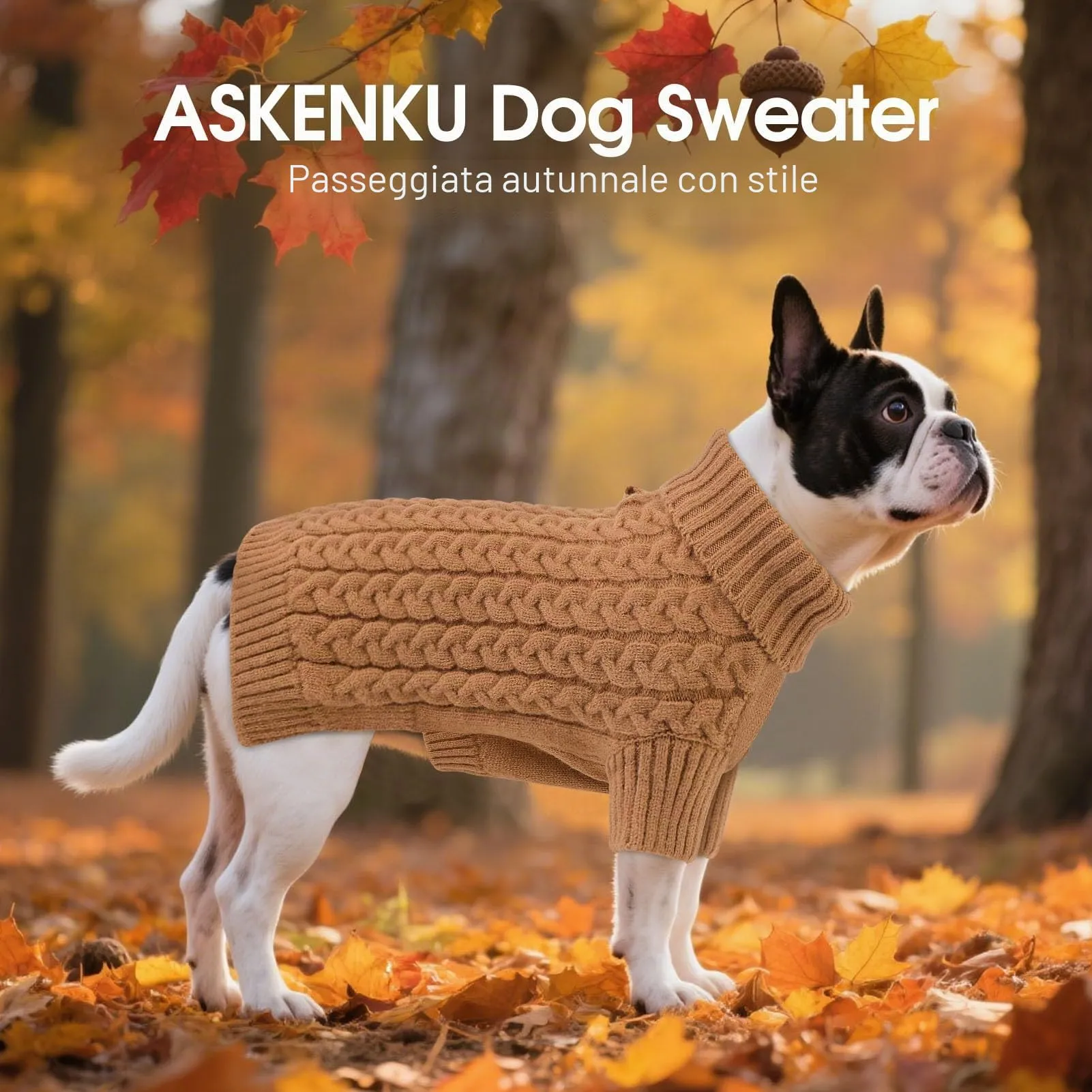 ASENKU Maglione a Collo Alto in Maglia Invernale per Cani, Taglia M - immagine 4