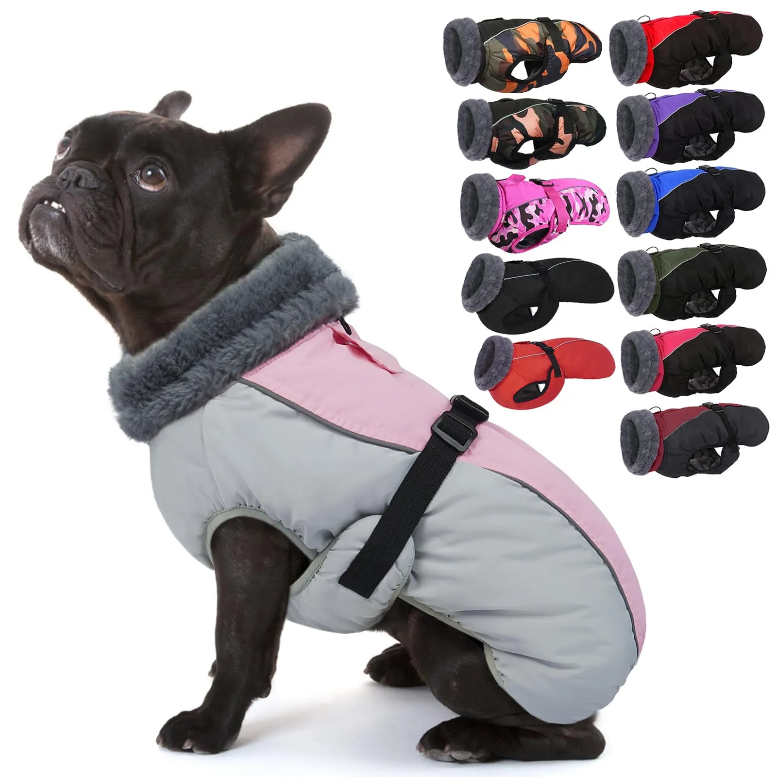 IECOii Cappotto Invernale per Cani Taglia Media, Impermeabile, Antivento e Riflettente con Foro per Guinzaglio - immagine 1