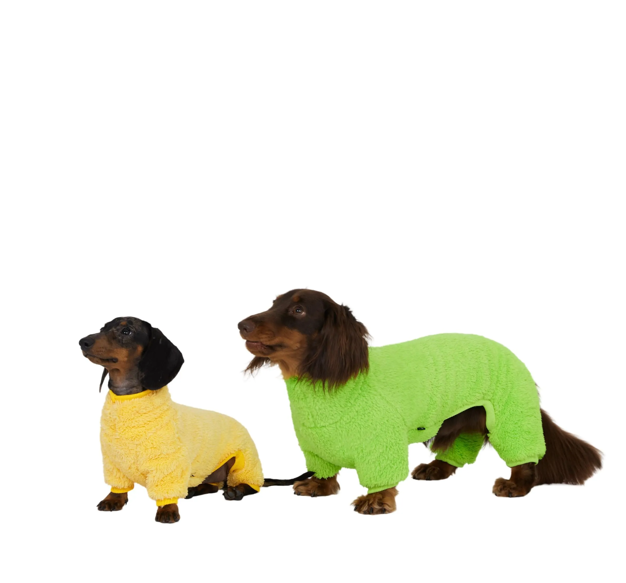 ESCCBOO Tuta in pile dolcevita per cani bassotto, Giallo, M - immagine 2