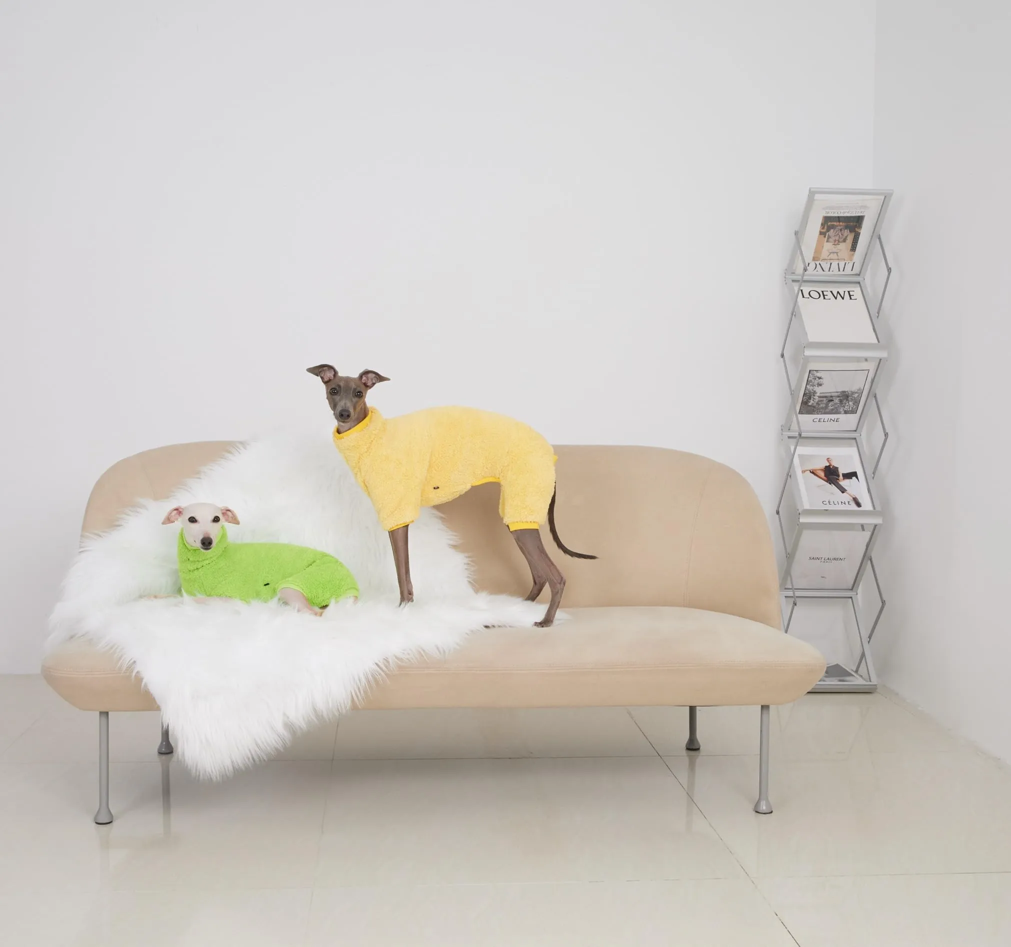 ESCCBOO Tuta in pile dolcevita per cani bassotto, Giallo, M - immagine 6